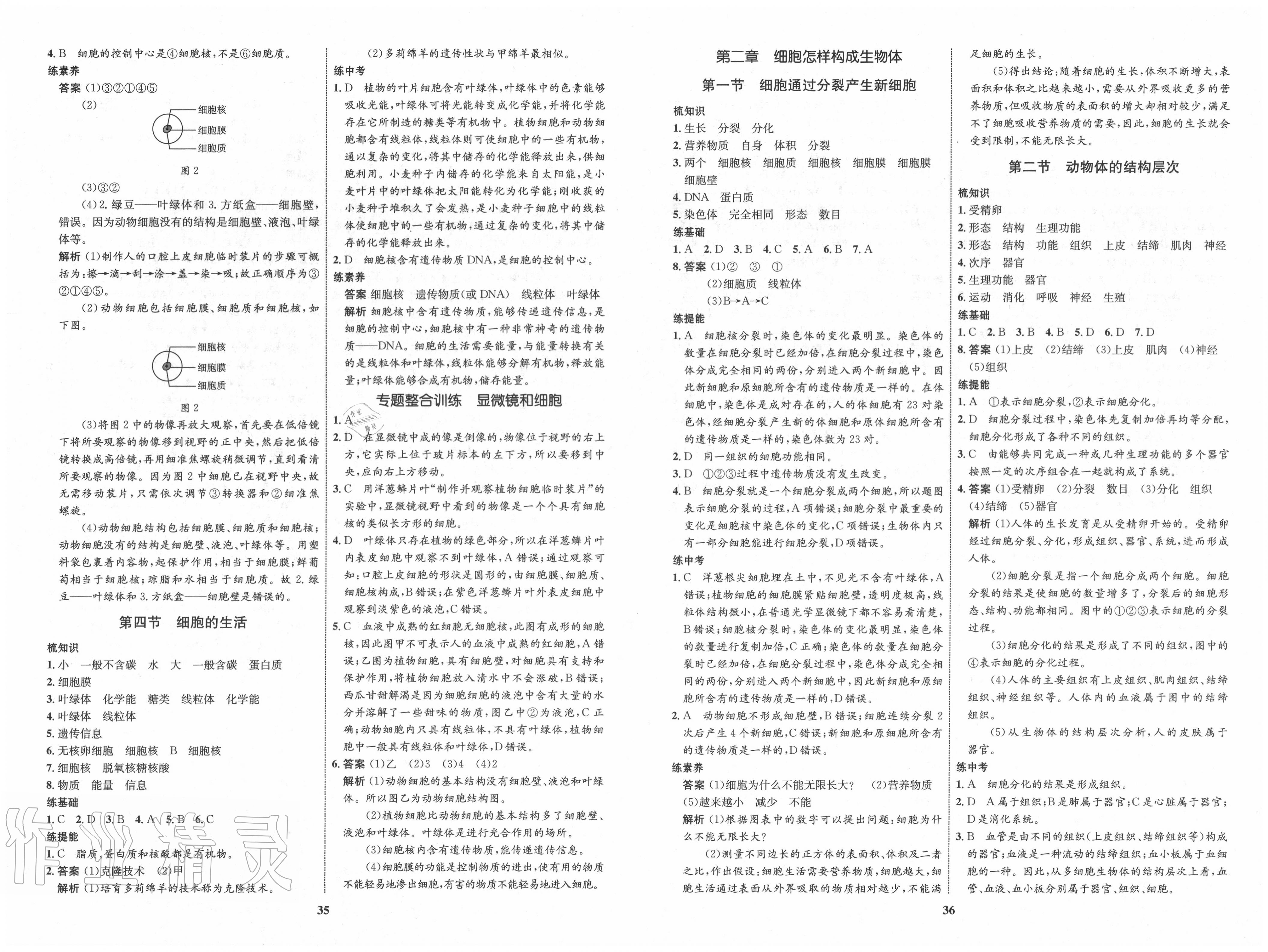 2020年初中同步学考优化设计七年级生物上册人教版 第4页