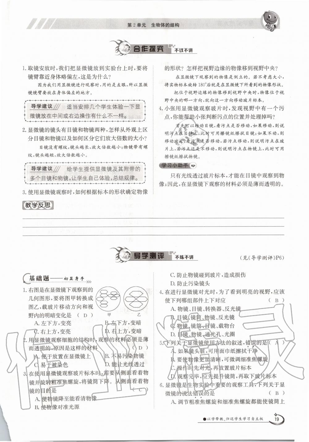 2020年金太陽導(dǎo)學(xué)案七年級生物上冊北師大版 參考答案第19頁