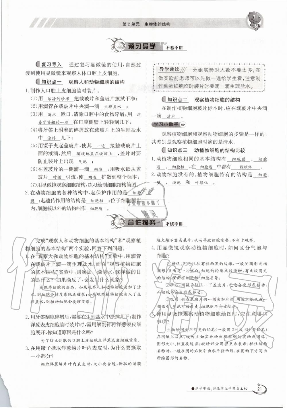 2020年金太陽導學案七年級生物上冊北師大版 參考答案第21頁