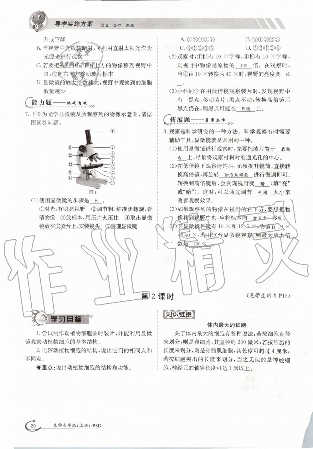 2020年金太陽導(dǎo)學(xué)案七年級(jí)生物上冊(cè)北師大版 參考答案第20頁