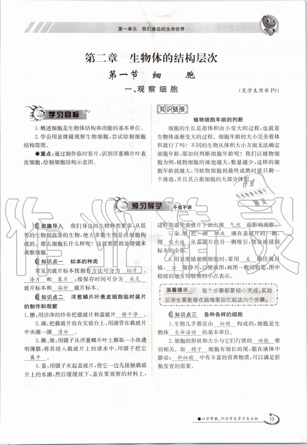 2020年金太陽導(dǎo)學(xué)案七年級生物上冊冀少版 參考答案第13頁