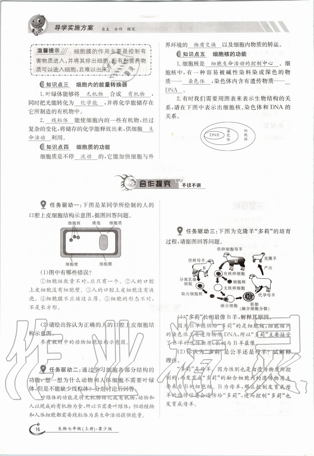 2020年金太阳导学案七年级生物上册冀少版 参考答案第16页