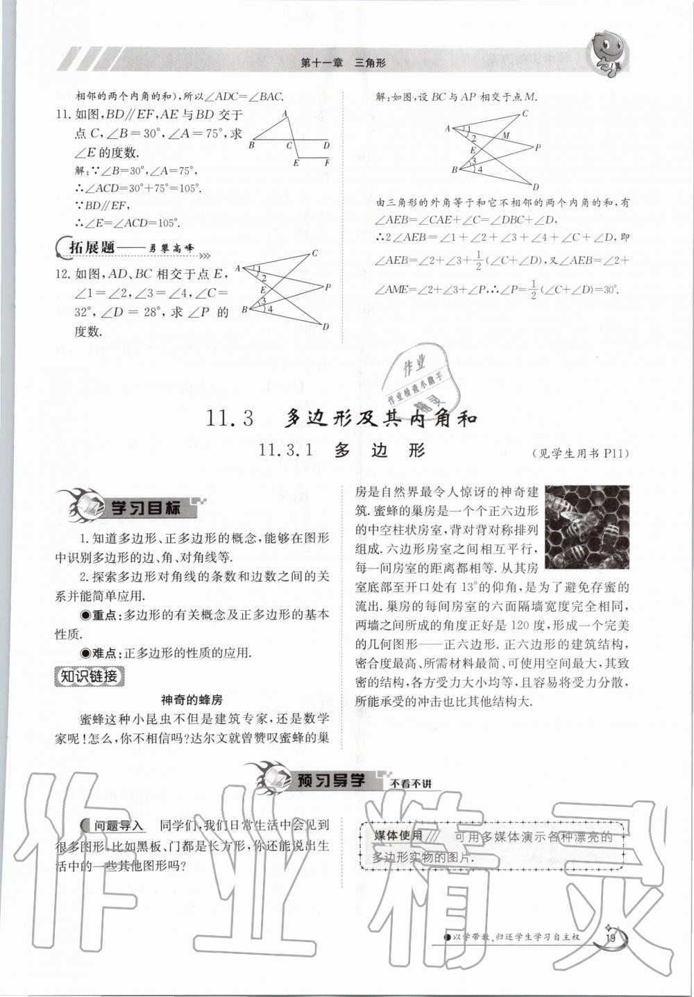 2020年金太陽導(dǎo)學(xué)案八年級數(shù)學(xué)上冊人教版 參考答案第19頁