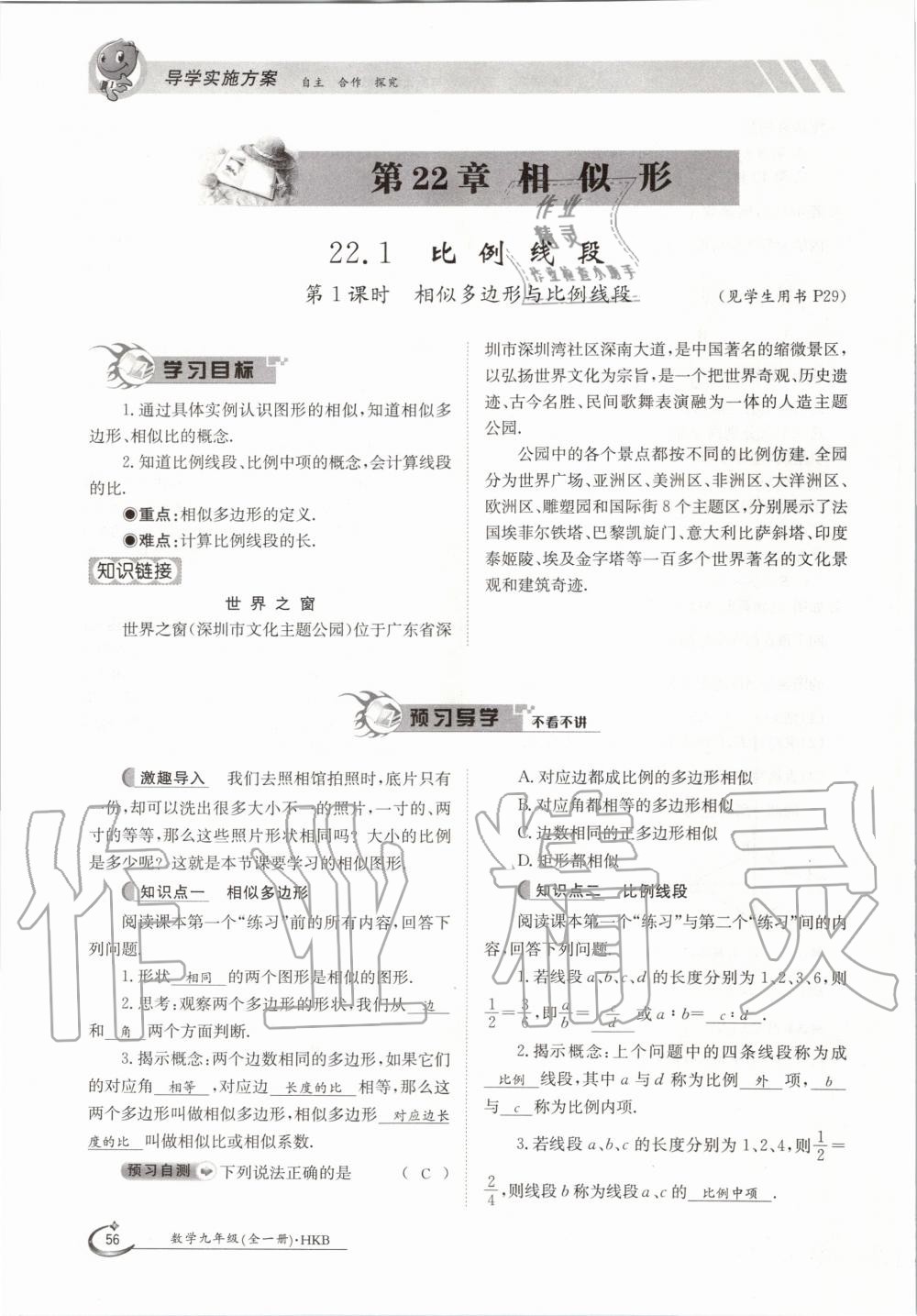 2020年金太陽導(dǎo)學(xué)案九年級數(shù)學(xué)全一冊滬科版 參考答案第56頁