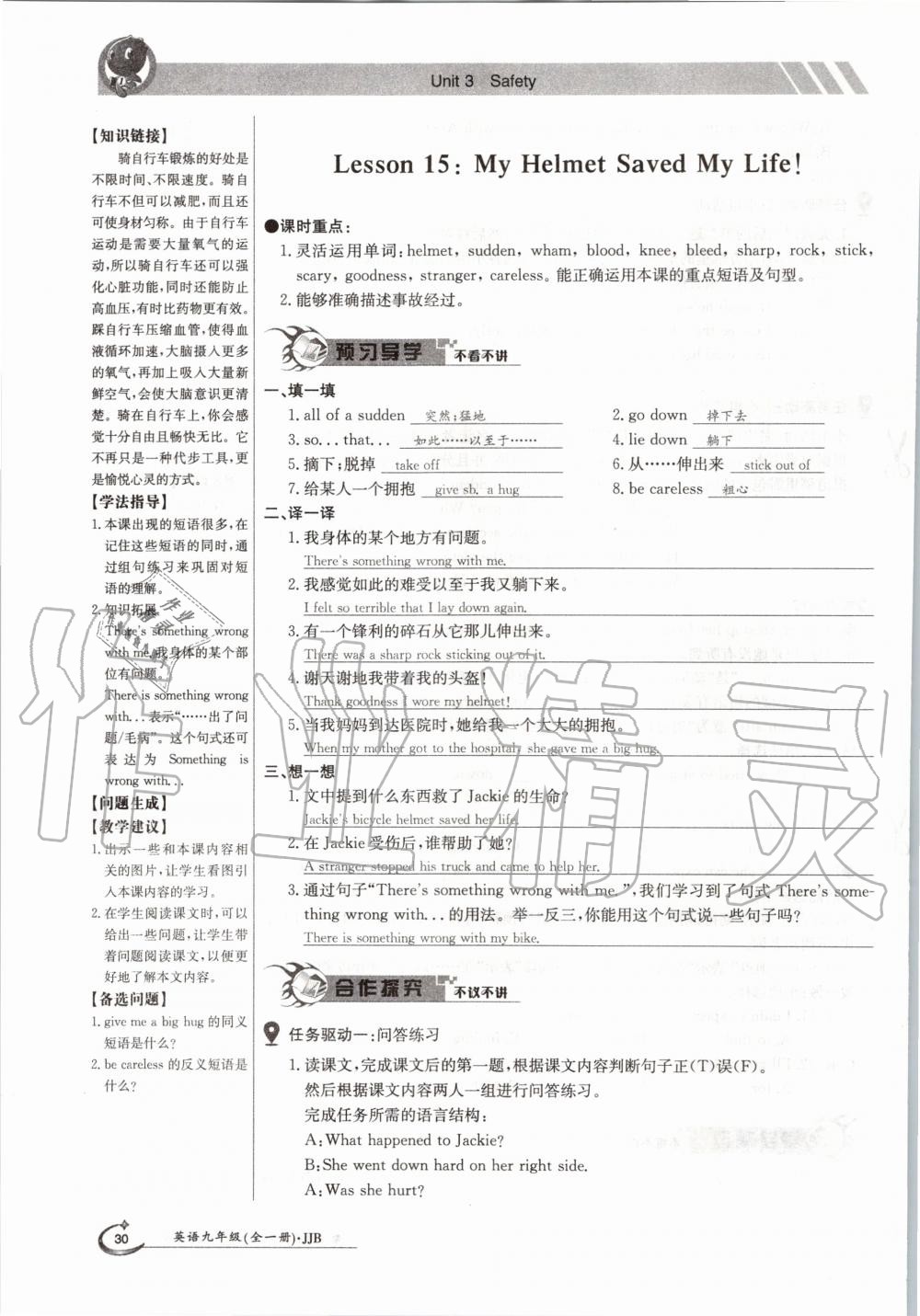 2020年金太陽導(dǎo)學(xué)案九年級英語全一冊冀教版 參考答案第30頁