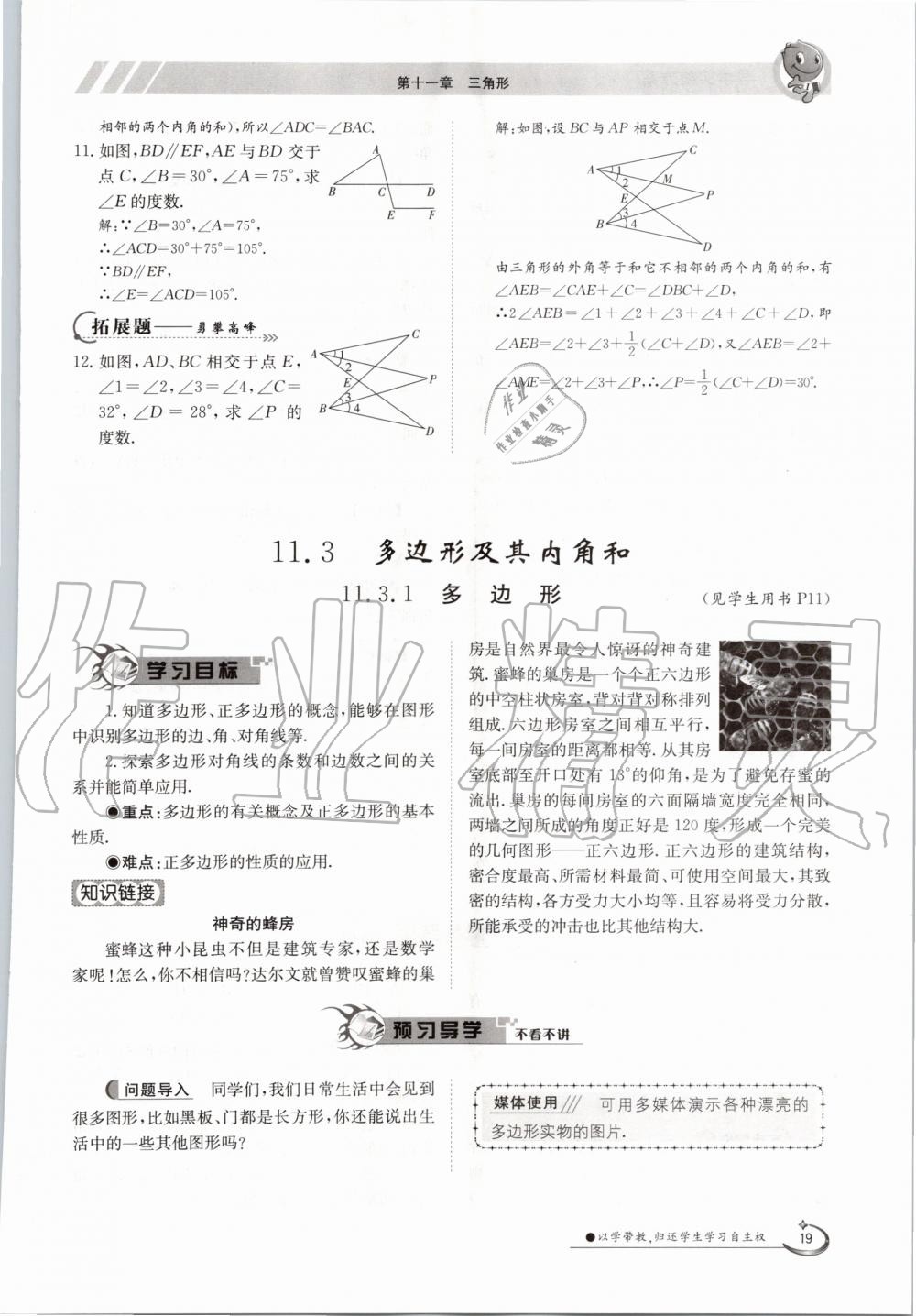 2020年金太阳导学测评八年级数学上册人教版 参考答案第19页