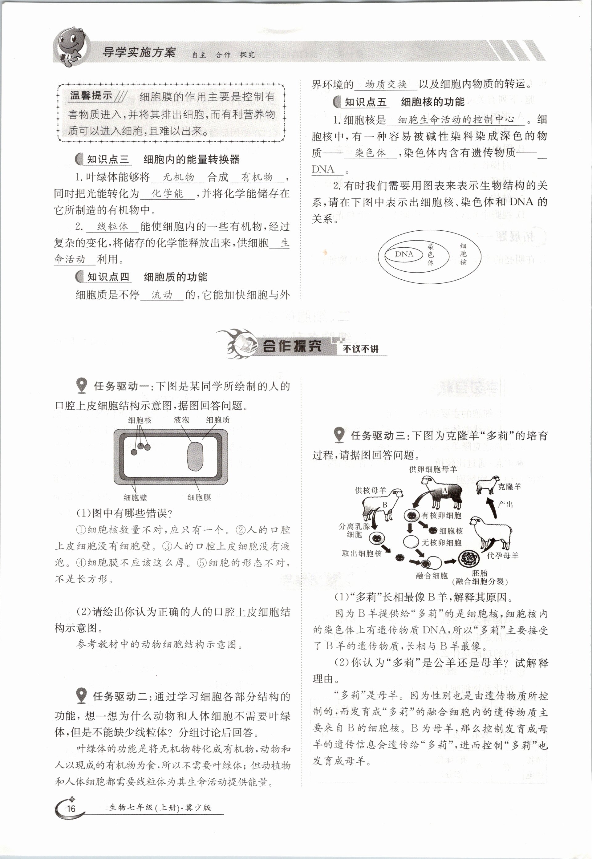 2020年金太陽導(dǎo)學(xué)測評七年級生物上冊冀少版 參考答案第16頁