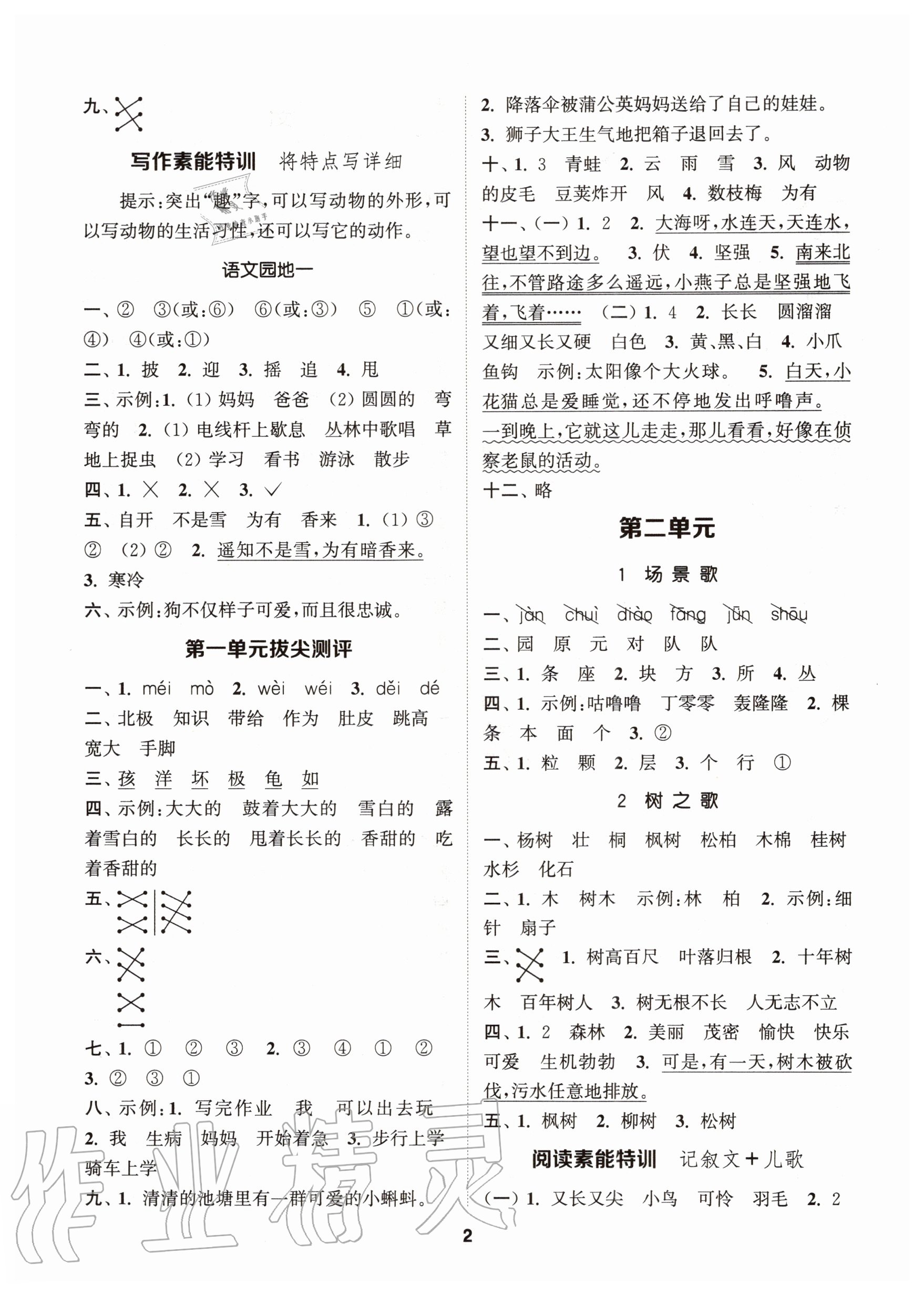 2020年拔尖特訓(xùn)二年級語文上冊人教版 參考答案第2頁