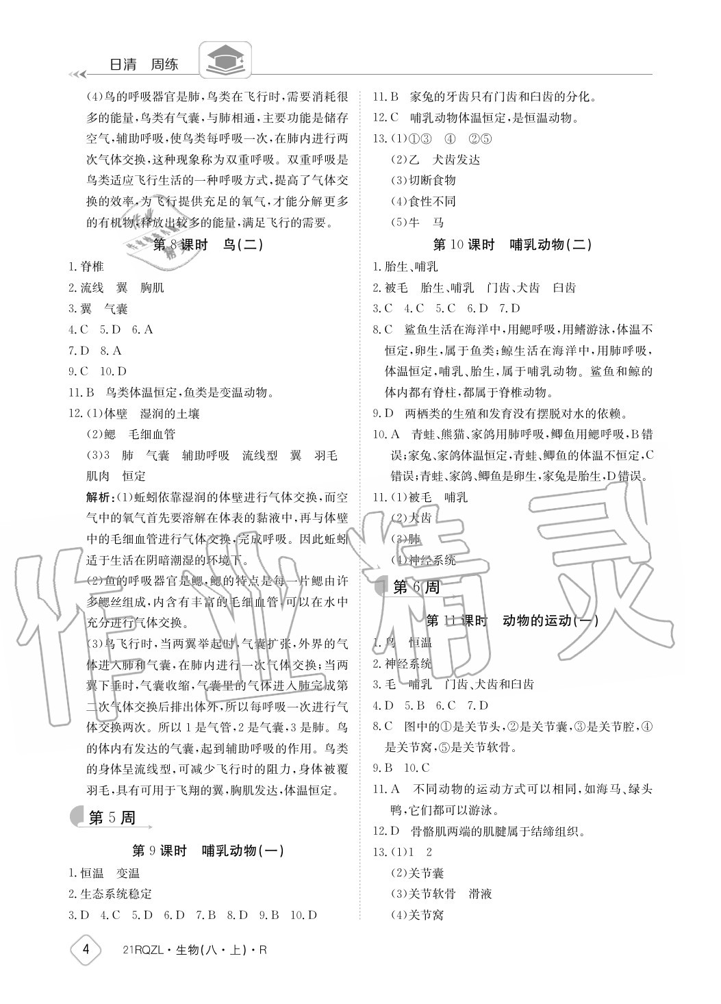 2020年日清周練八年級生物上冊人教版 參考答案第4頁