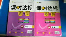 2020年課時(shí)達(dá)標(biāo)練與測(cè)九年級(jí)語(yǔ)文上冊(cè)人教版