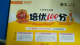 2020年王朝霞培优100分二年级语文上册人教版