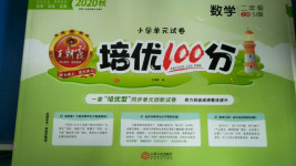 2020年王朝霞培优100分二年级数学上册苏教版