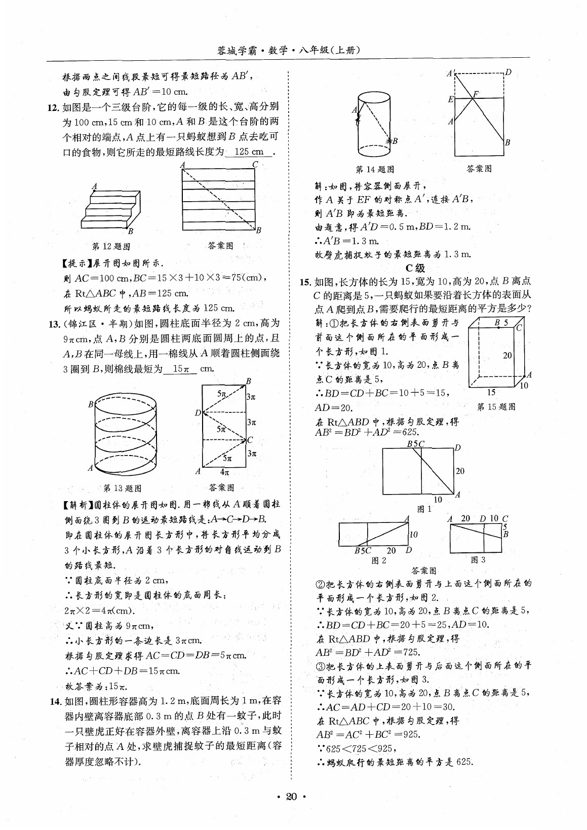 2020年蓉城学霸八年级数学上册北师大版 参考答案第19页