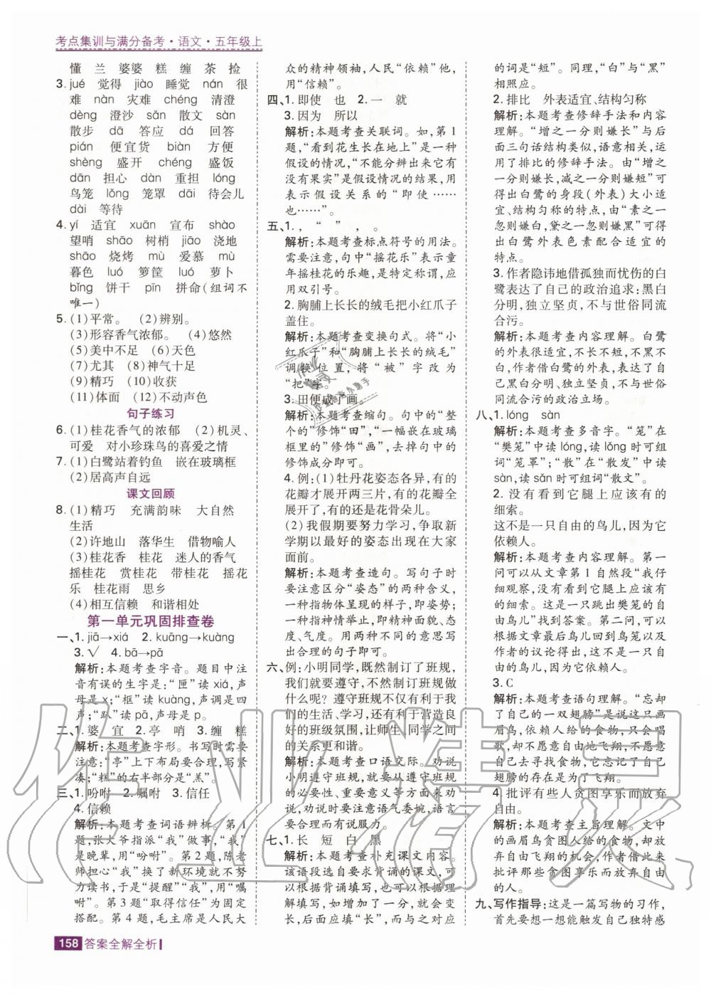 2020年考點(diǎn)集訓(xùn)與滿分備考五年級(jí)語文上冊人教版 第8頁