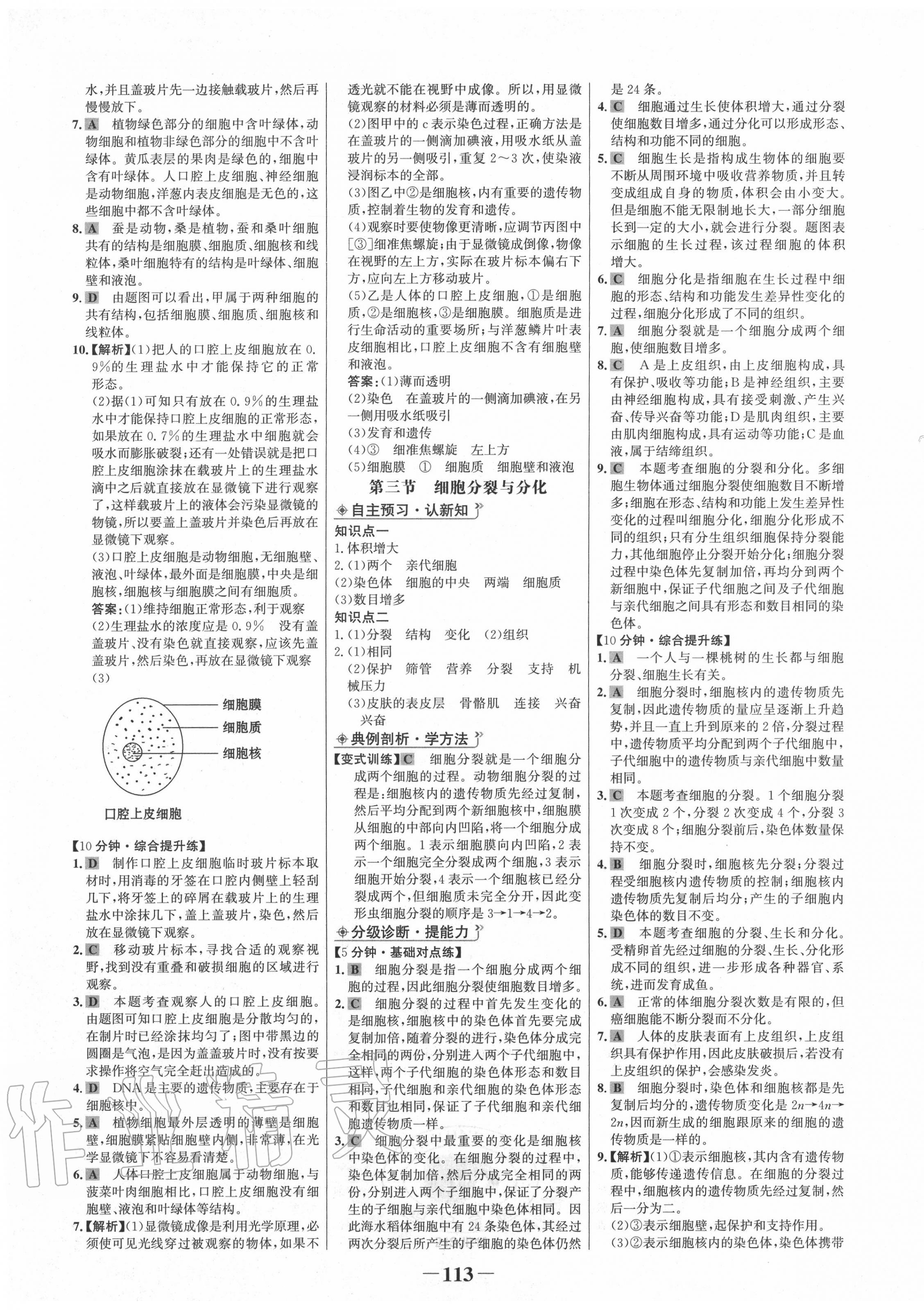 2020年世紀(jì)金榜金榜學(xué)案七年級生物上冊蘇教版 第5頁