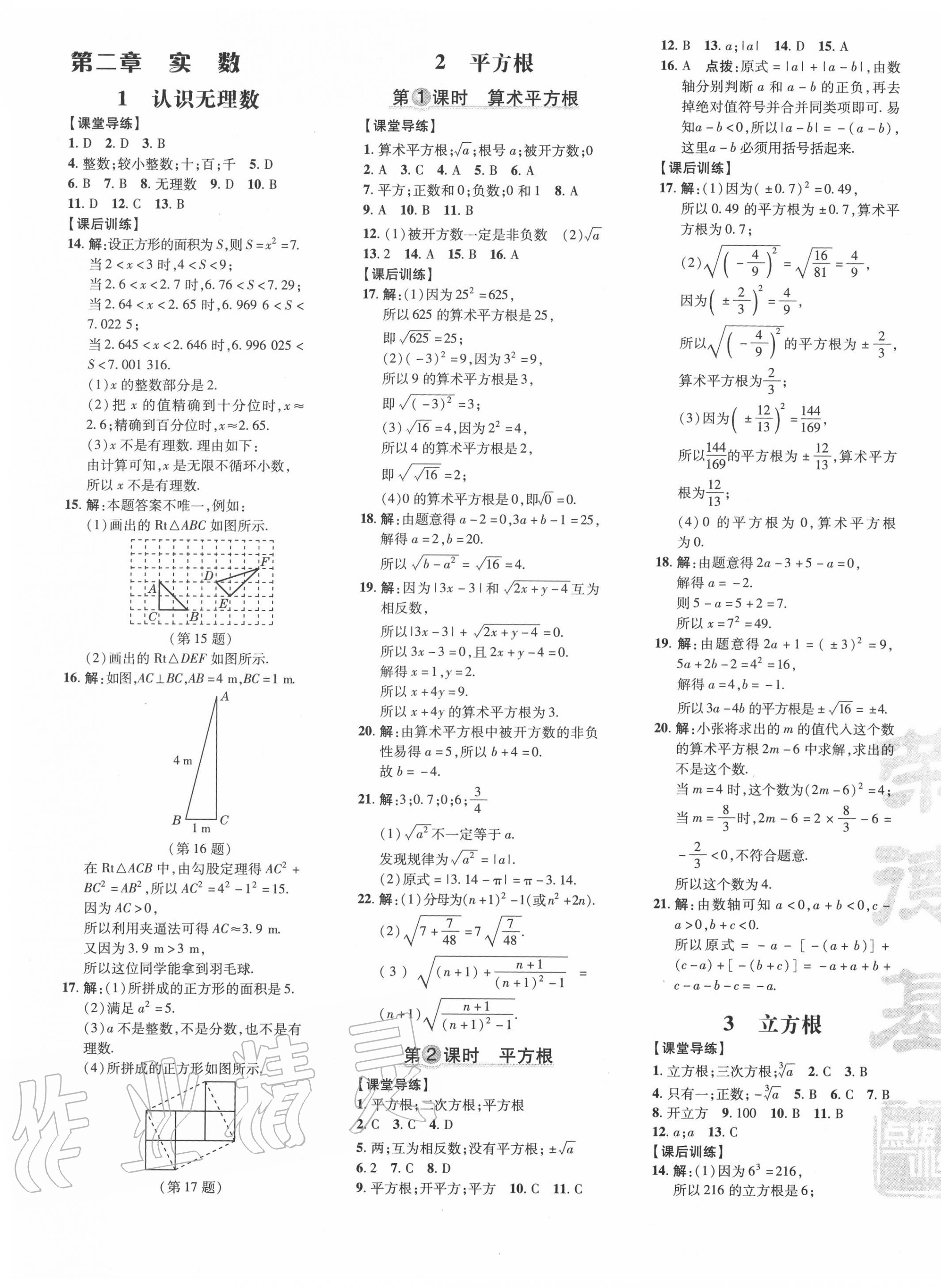 2020年点拨训练八年级数学上册北师大版 参考答案第9页