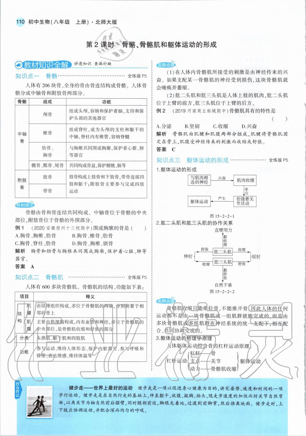 2020年教材課本八年級生物上冊北師大版 參考答案第8頁