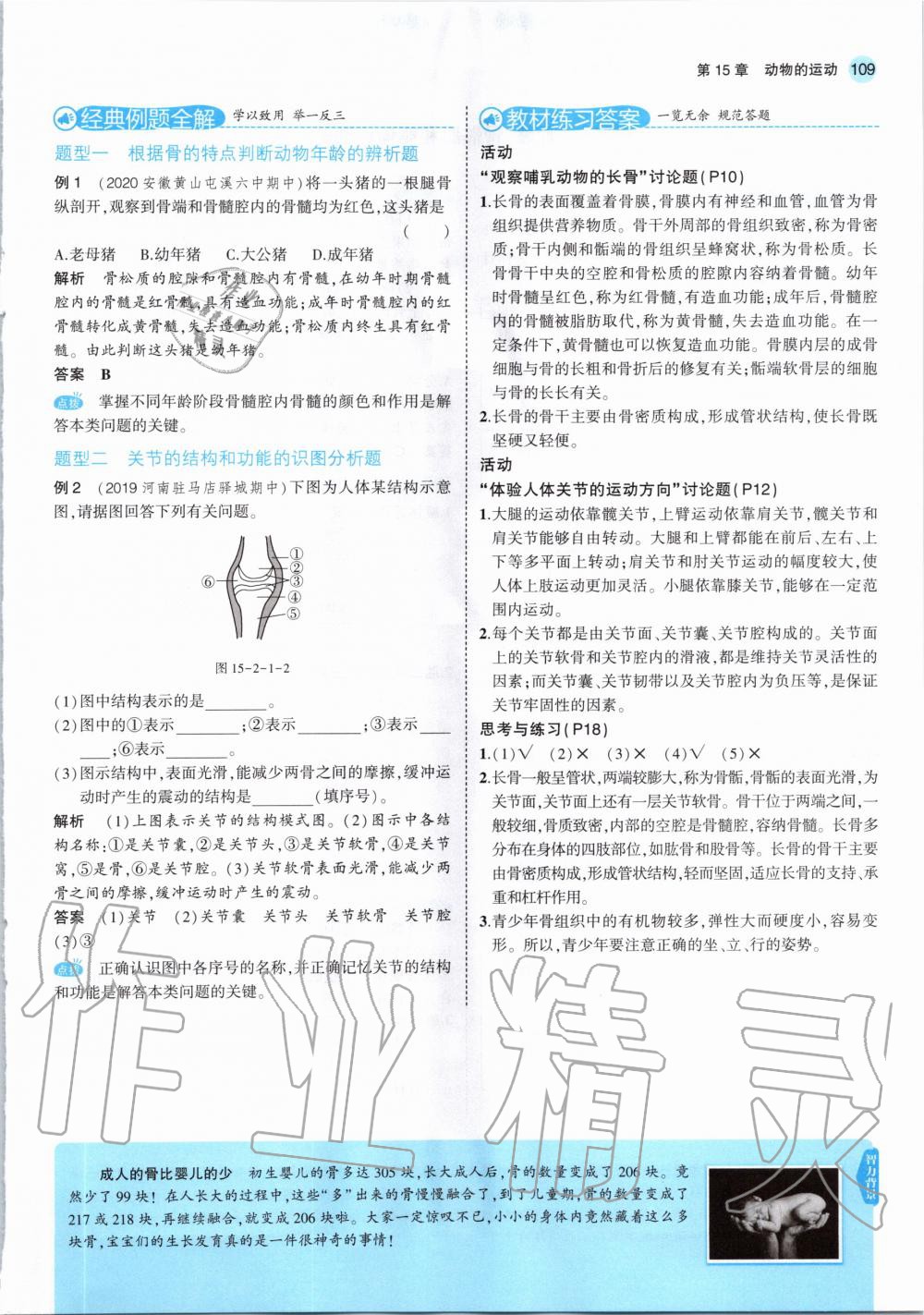 2020年教材课本八年级生物上册北师大版 参考答案第7页