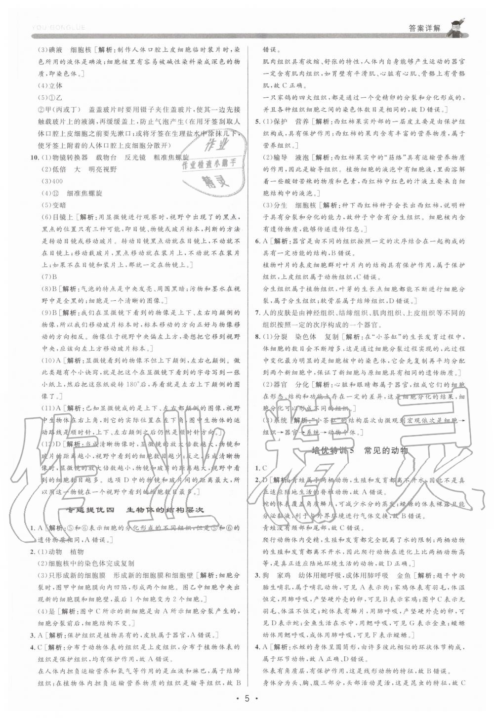 2020年優(yōu)加攻略七年級(jí)科學(xué)上冊(cè)浙教版 參考答案第5頁(yè)