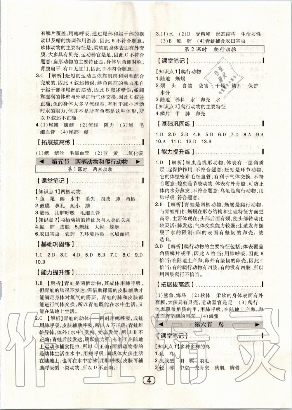 2020年北大綠卡八年級(jí)生物上冊(cè)人教版 第4頁