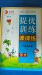 2020年金鑰匙提優(yōu)訓練課課練九年級語文上冊人教版