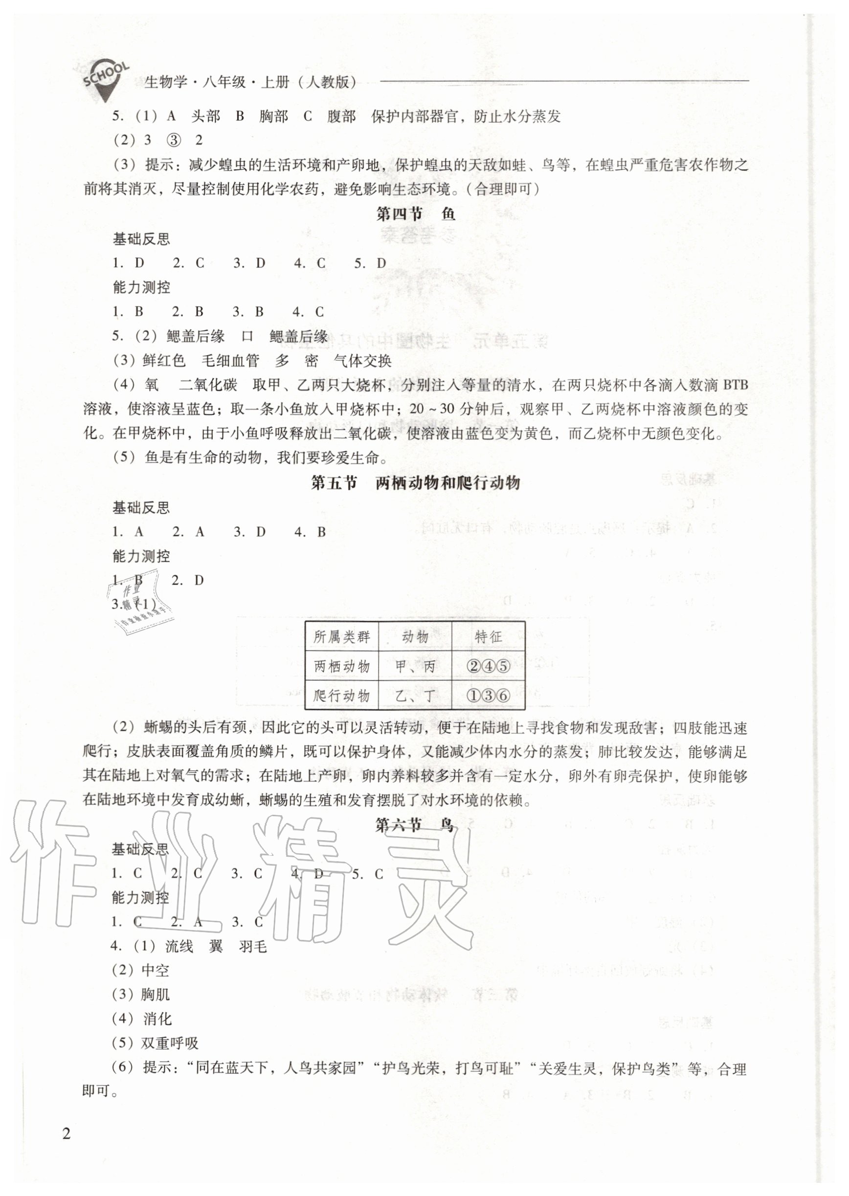 2020年新課程問(wèn)題解決導(dǎo)學(xué)方案八年級(jí)生物上冊(cè)人教版 參考答案第2頁(yè)