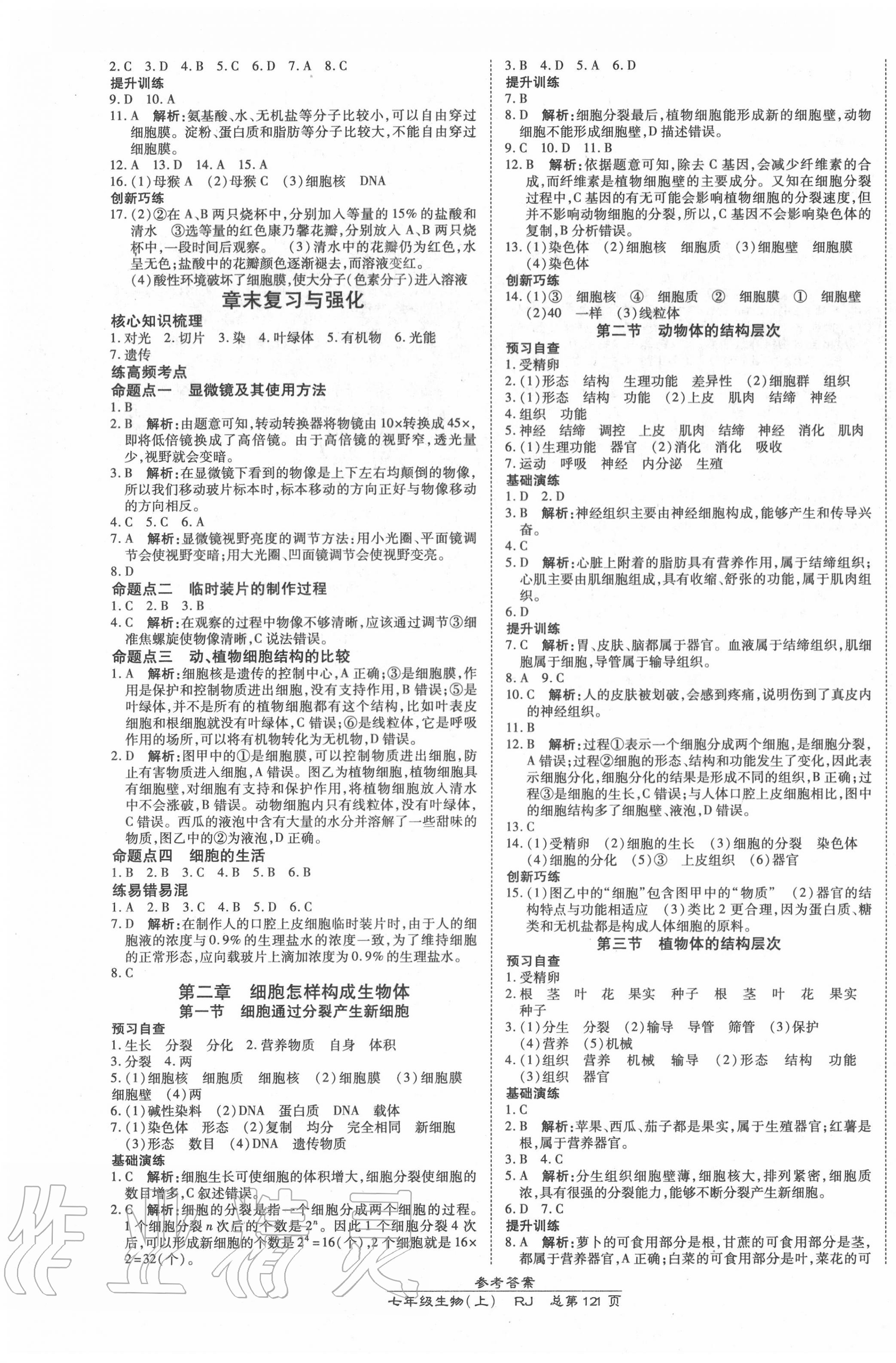 2020年高效課時(shí)通10分鐘掌控課堂七年級生物上冊人教版 第3頁