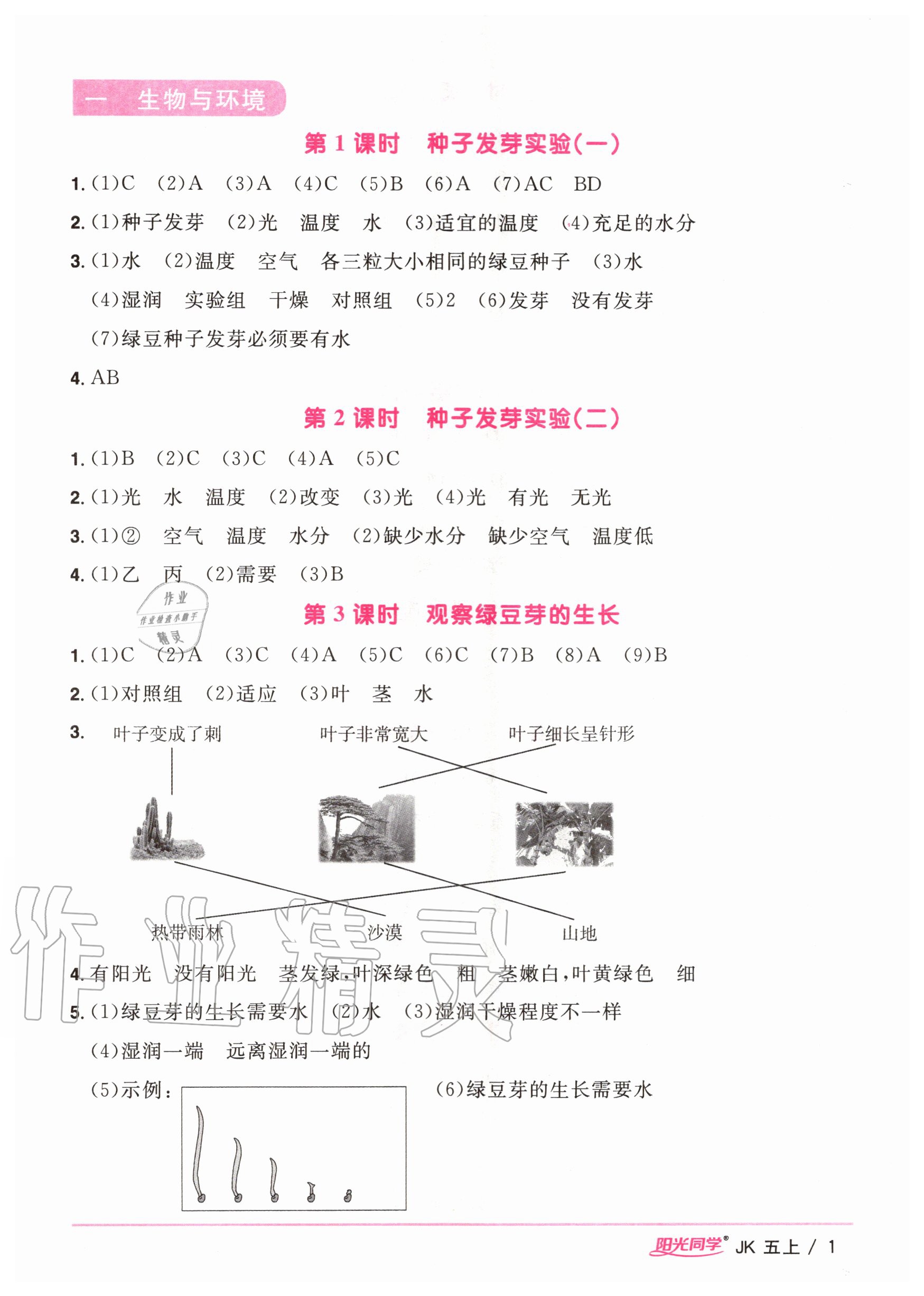 2020年陽(yáng)光同學(xué)課時(shí)優(yōu)化作業(yè)五年級(jí)科學(xué)上冊(cè)教科版 參考答案第1頁(yè)