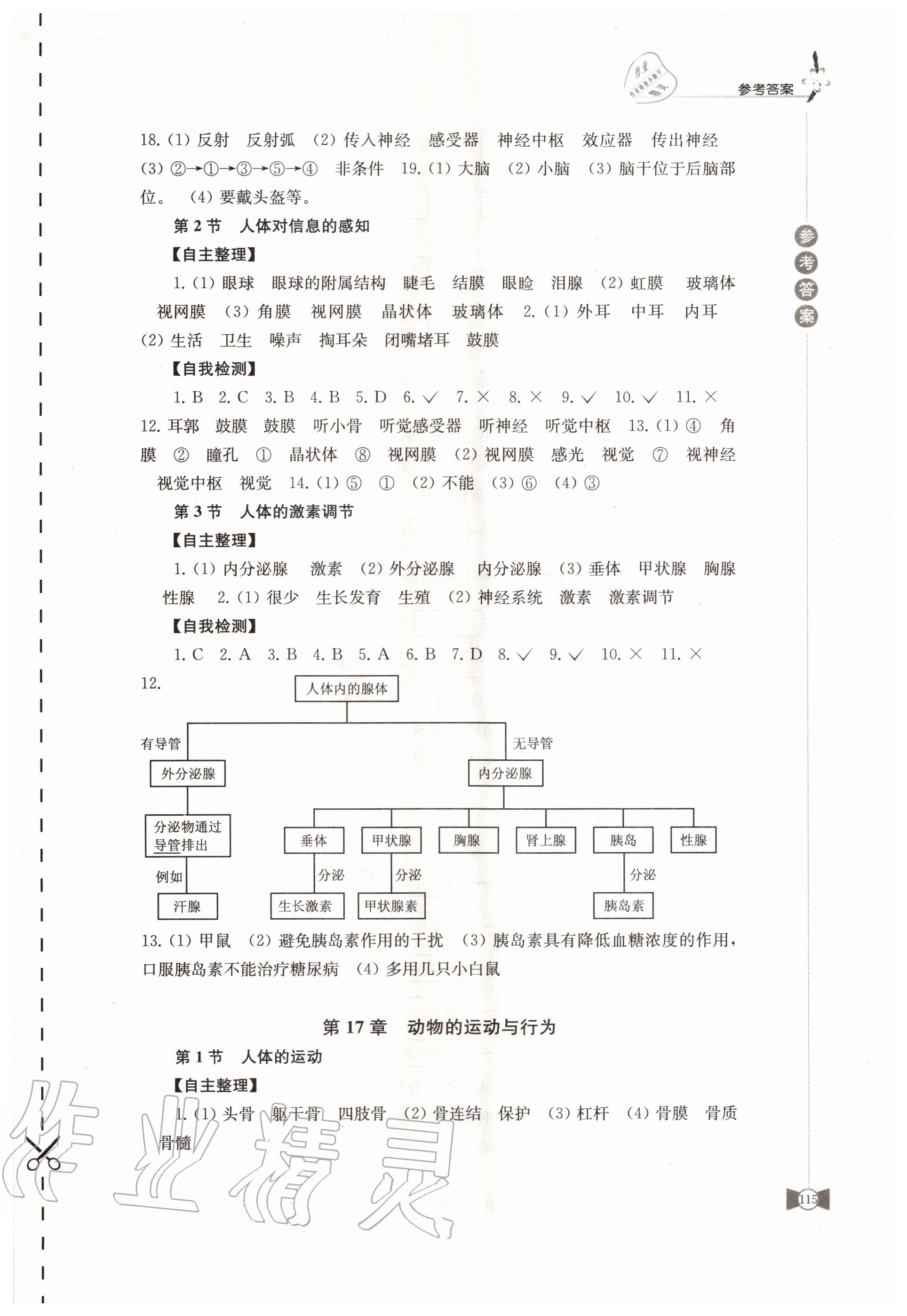 2020年學(xué)習(xí)與評價八年級生物上冊蘇科版江蘇教育出版社 第3頁