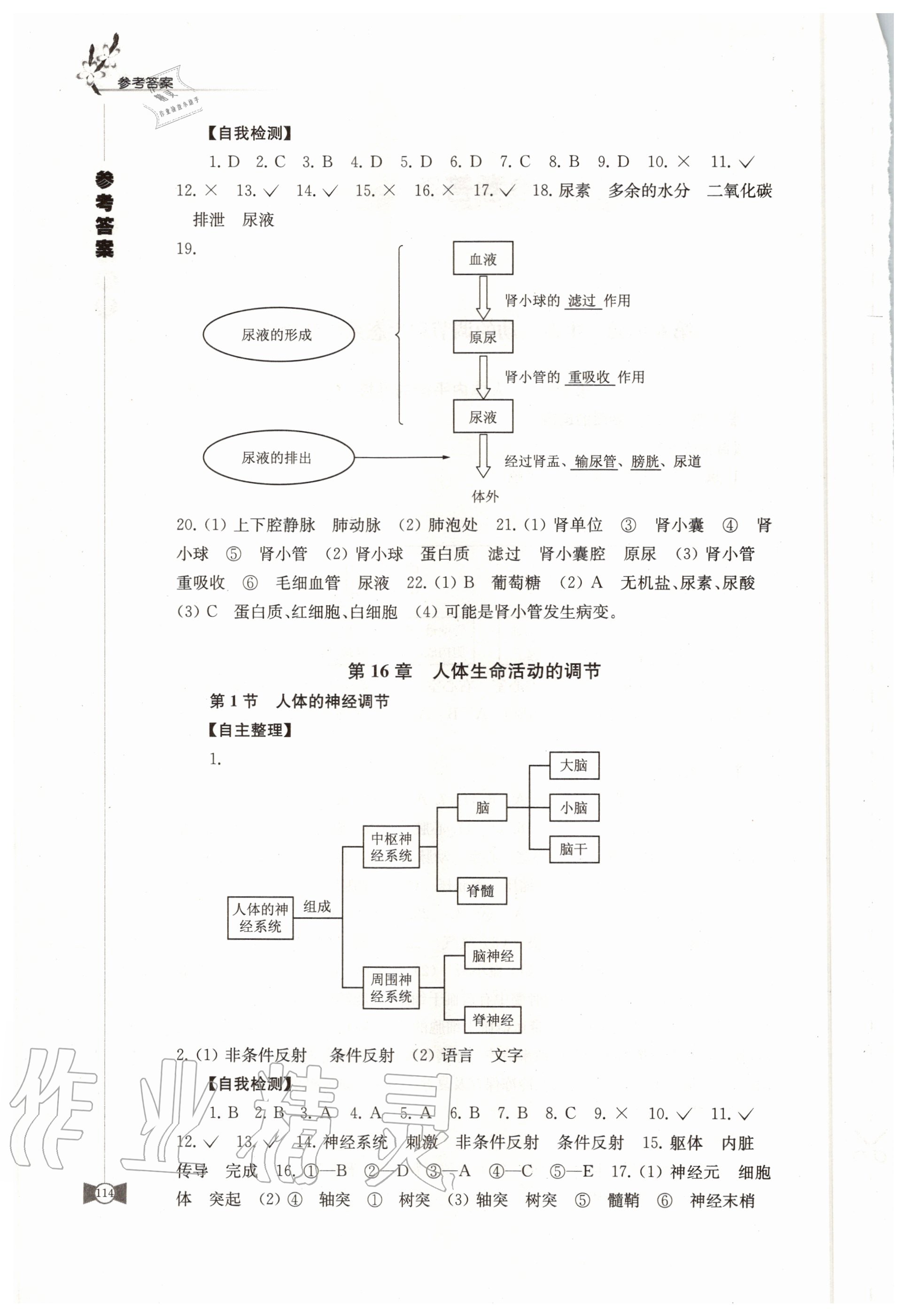 2020年學(xué)習(xí)與評(píng)價(jià)八年級(jí)生物上冊(cè)蘇科版江蘇教育出版社 第2頁