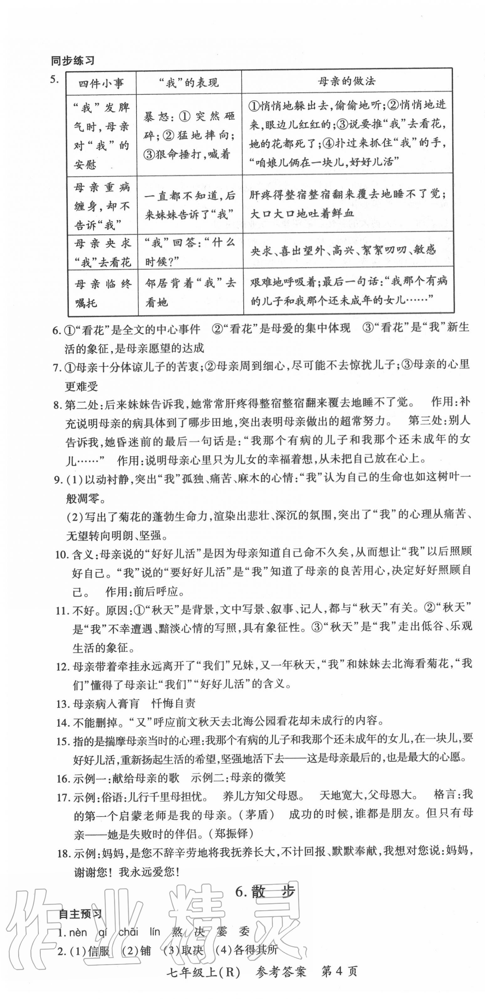 2020年名师三导学练考七年级语文上册人教版 第4页