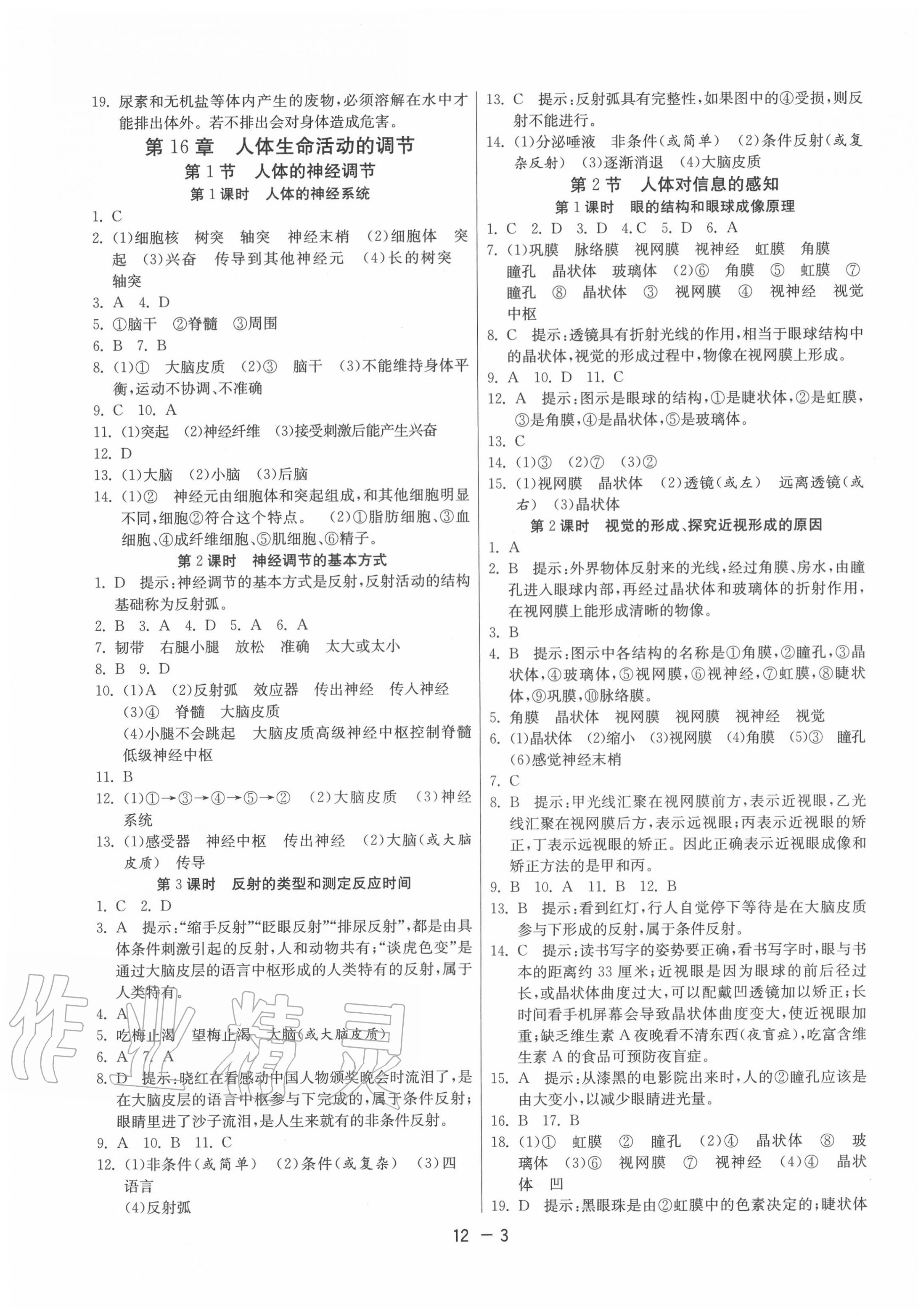 2020年課時訓練八年級生物上冊蘇科版江蘇人民出版社 第3頁