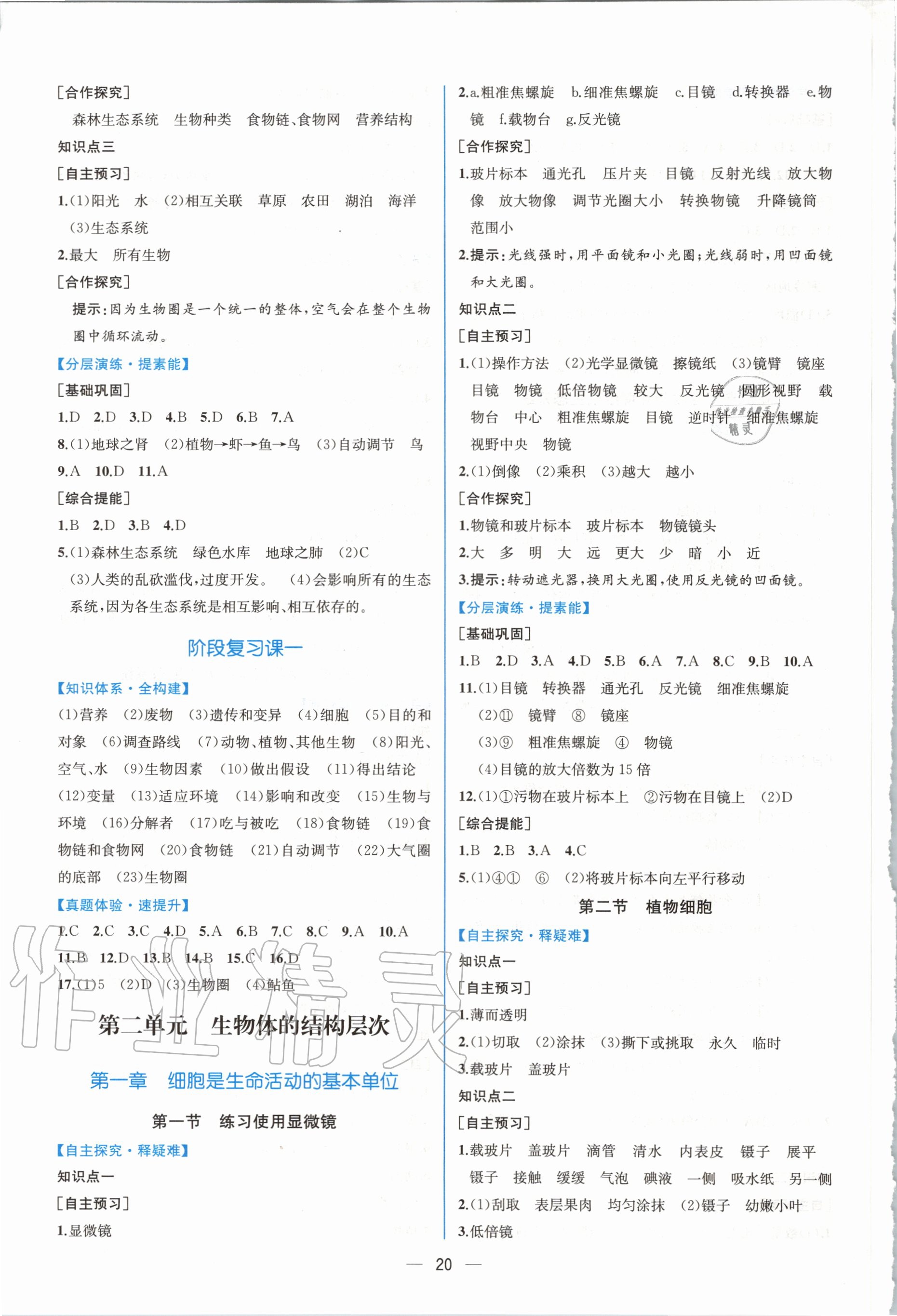 2020年同步學歷案課時練七年級生物上冊人教版 第4頁