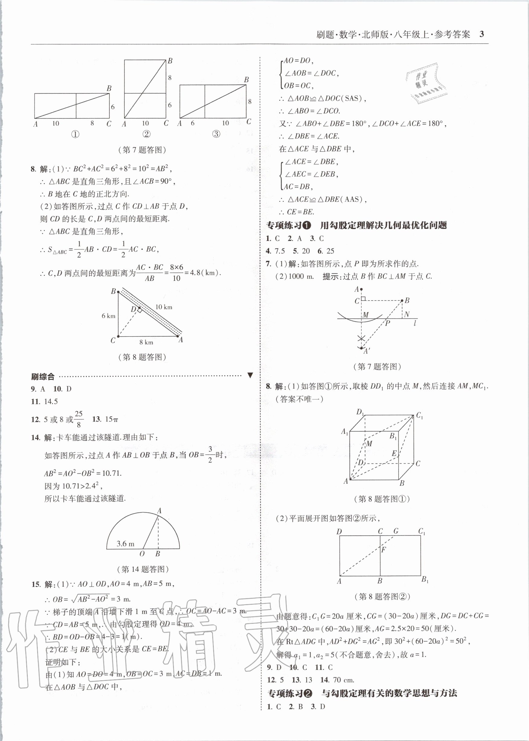 2020年北大绿卡刷题八年级数学上册北师大版 参考答案第3页