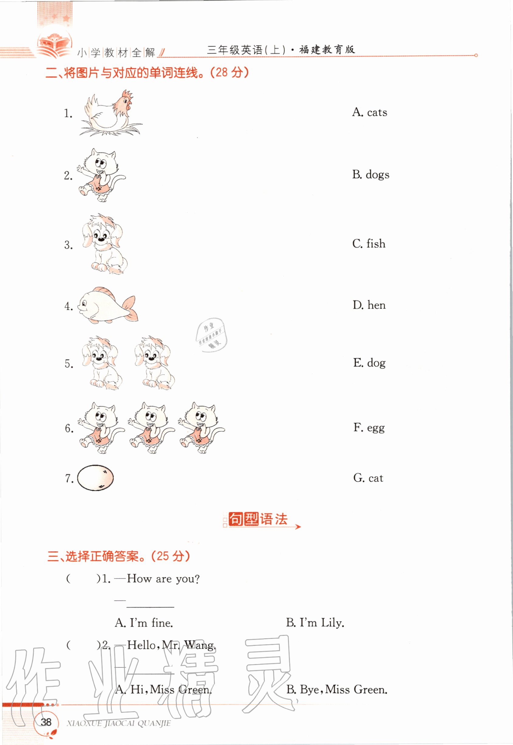 2020年教材课本三年级英语上册福建教育版&nbsp;参考答案第38页