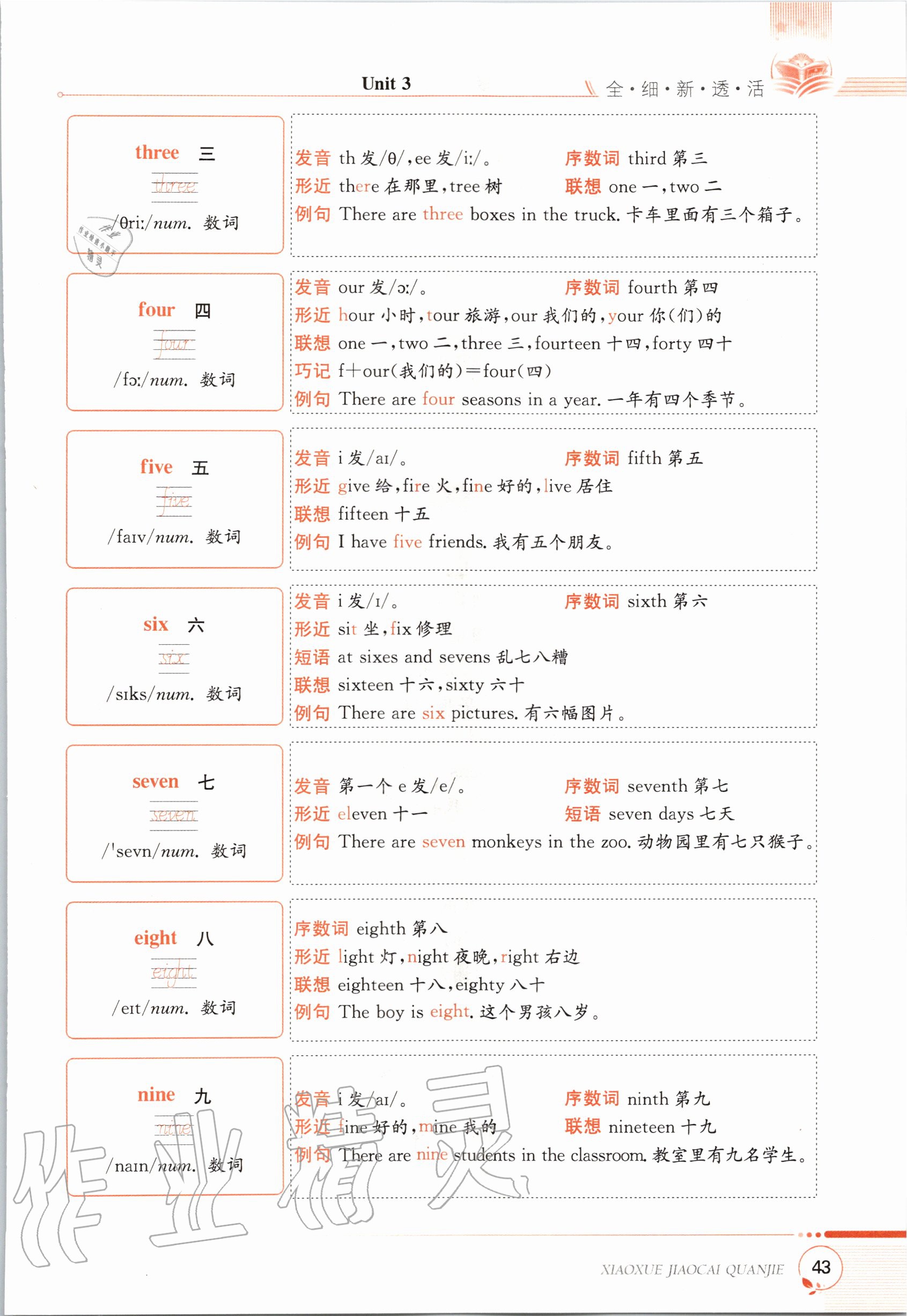 2020年教材课本三年级英语上册福建教育版&nbsp;参考答案第43页