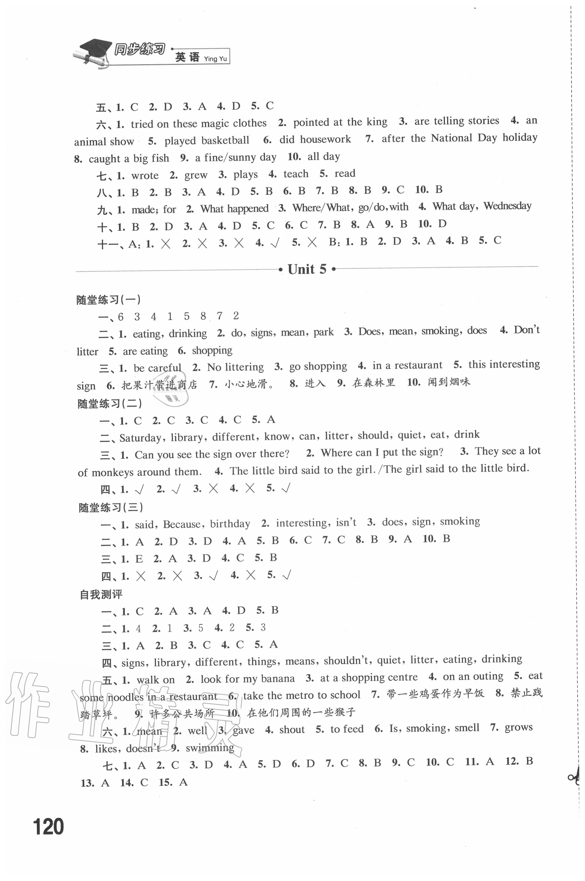 2020年同步練習六年級英語上冊譯林版江蘇鳳凰科學技術出版社 第5頁