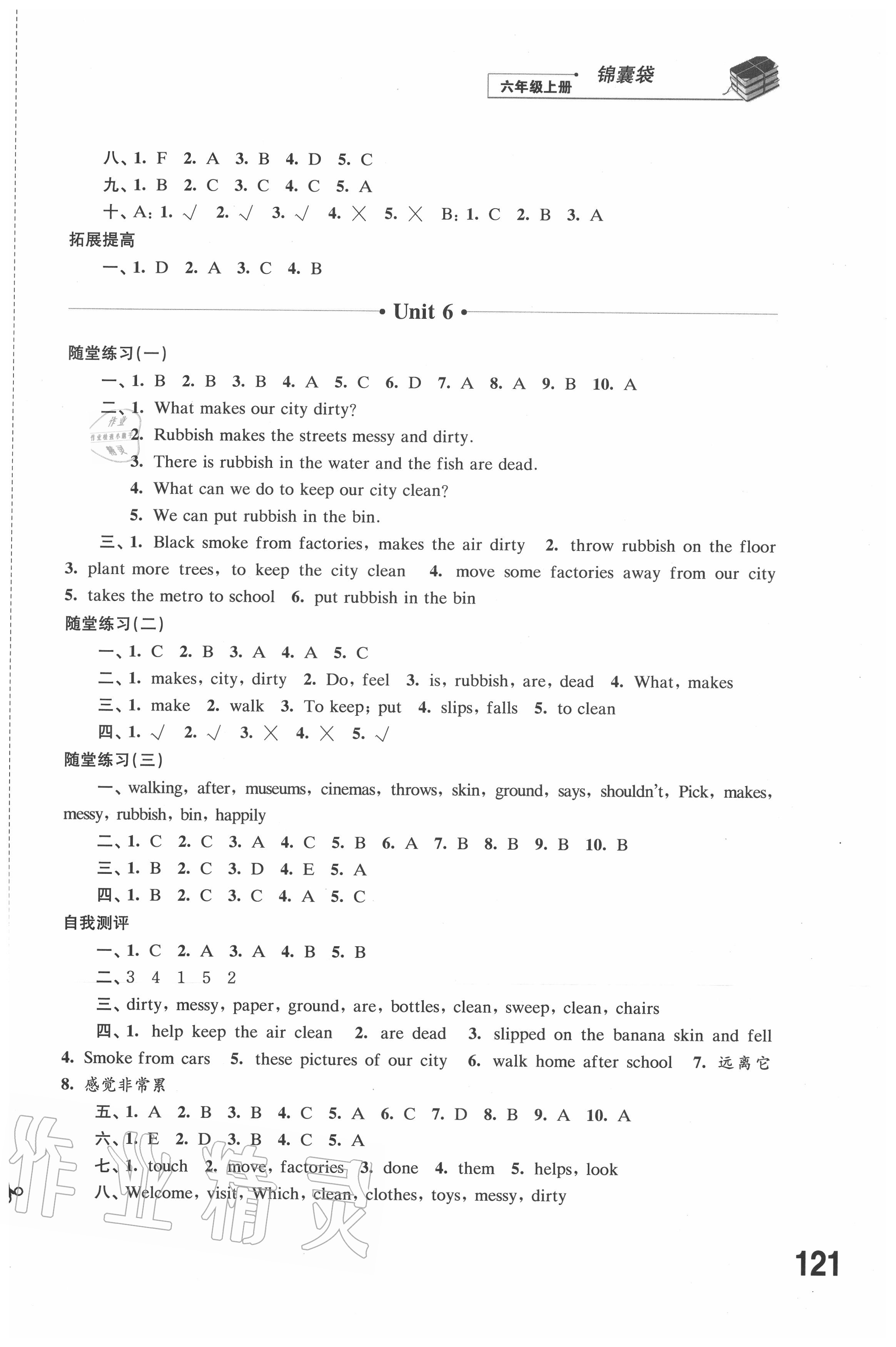 2020年同步练习六年级英语上册译林版江苏凤凰科学技术出版社 第6页