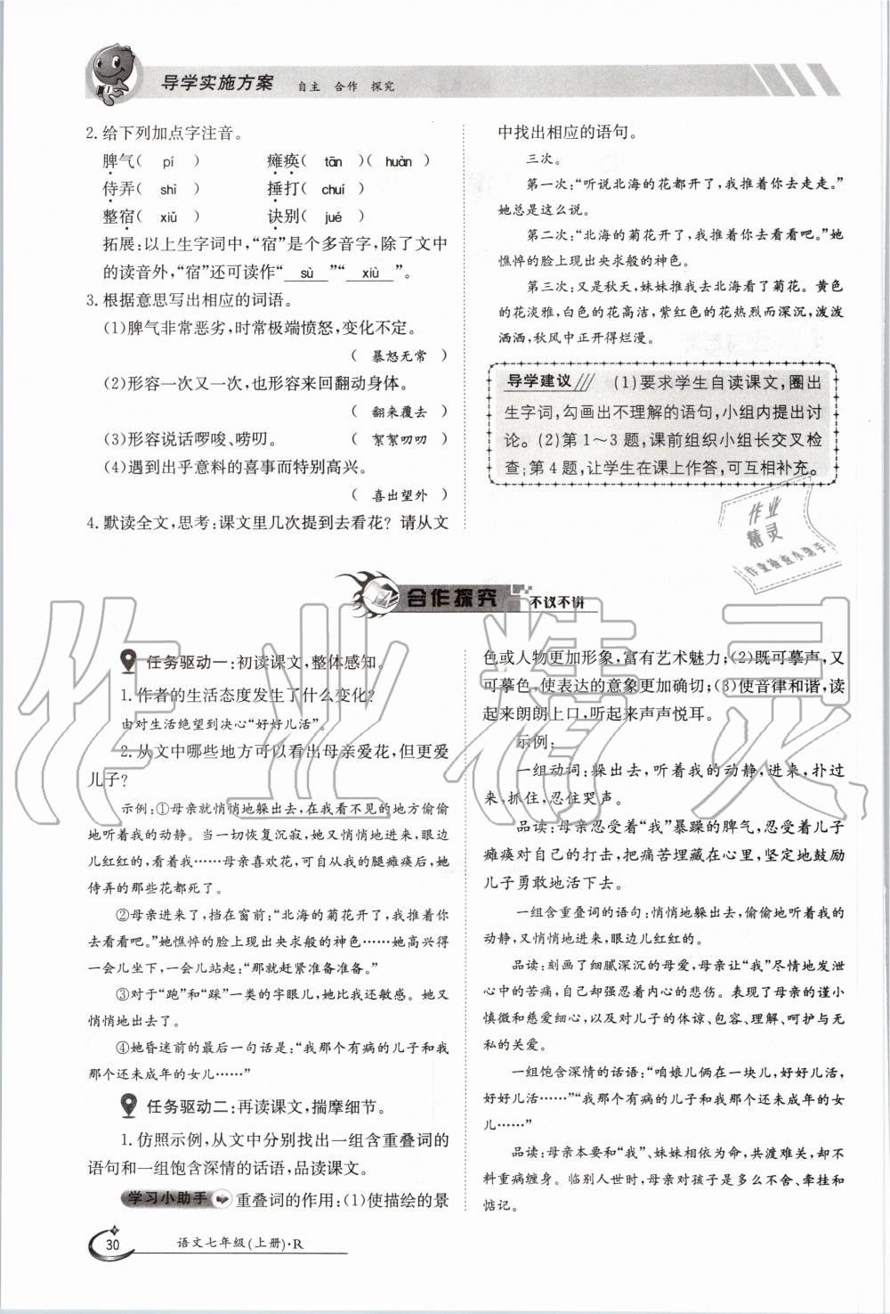 2020年金太阳导学案七年级语文上册人教版 参考答案第30页