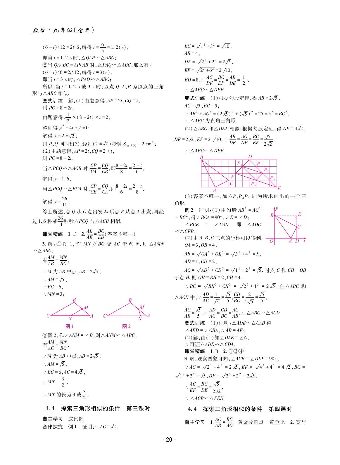 2020年理科愛好者九年級(jí)數(shù)學(xué)北師大版 參考答案第19頁