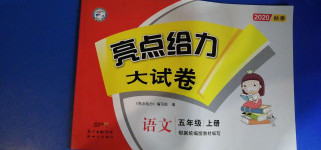 2020年亮點(diǎn)給力大試卷五年級(jí)語文上冊(cè)人教版