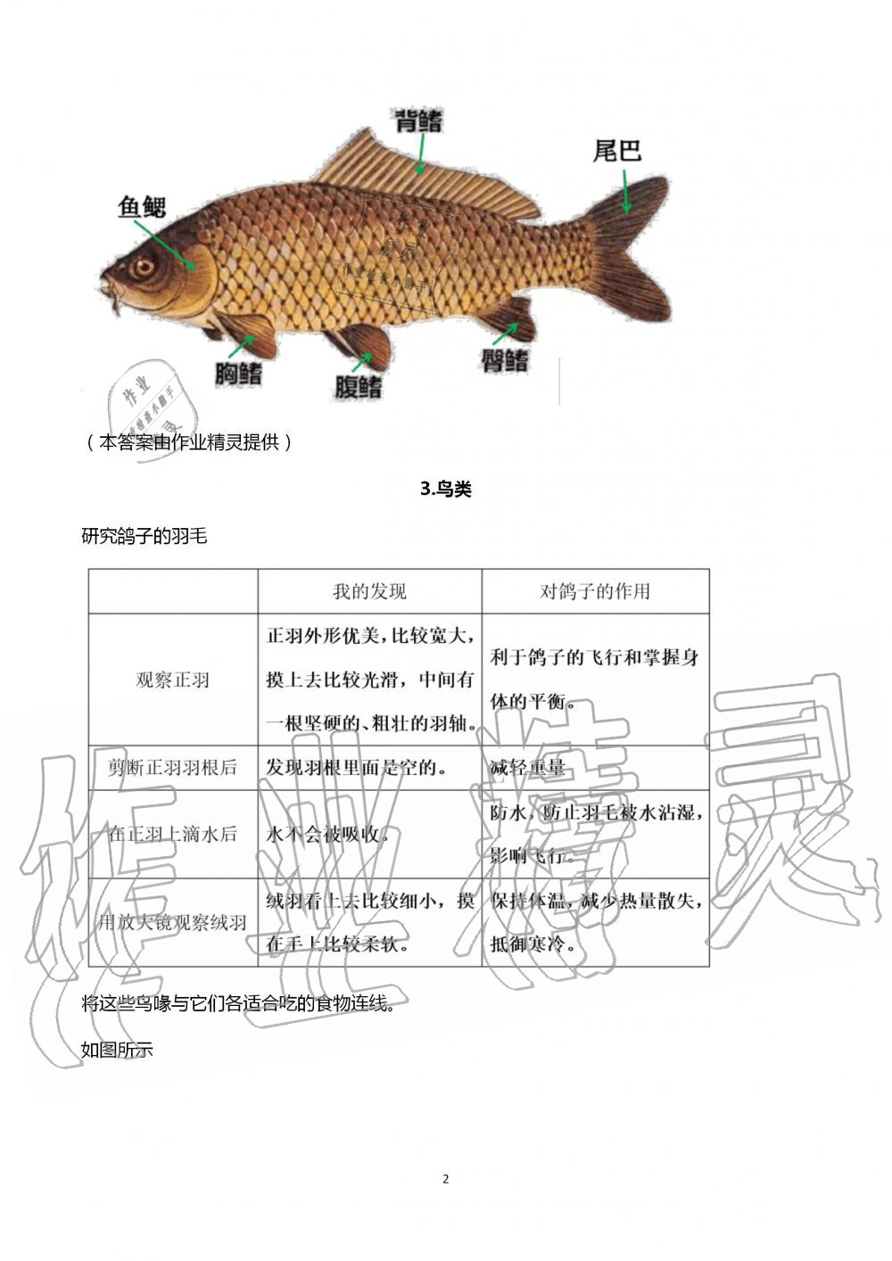 2020年學(xué)生活動手冊四年級科學(xué)上冊蘇教版江蘇鳳凰教育出版社 第2頁