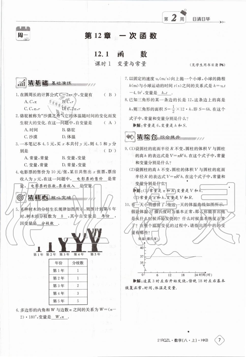 2020年日清周練八年級數(shù)學上冊滬科版 第13頁