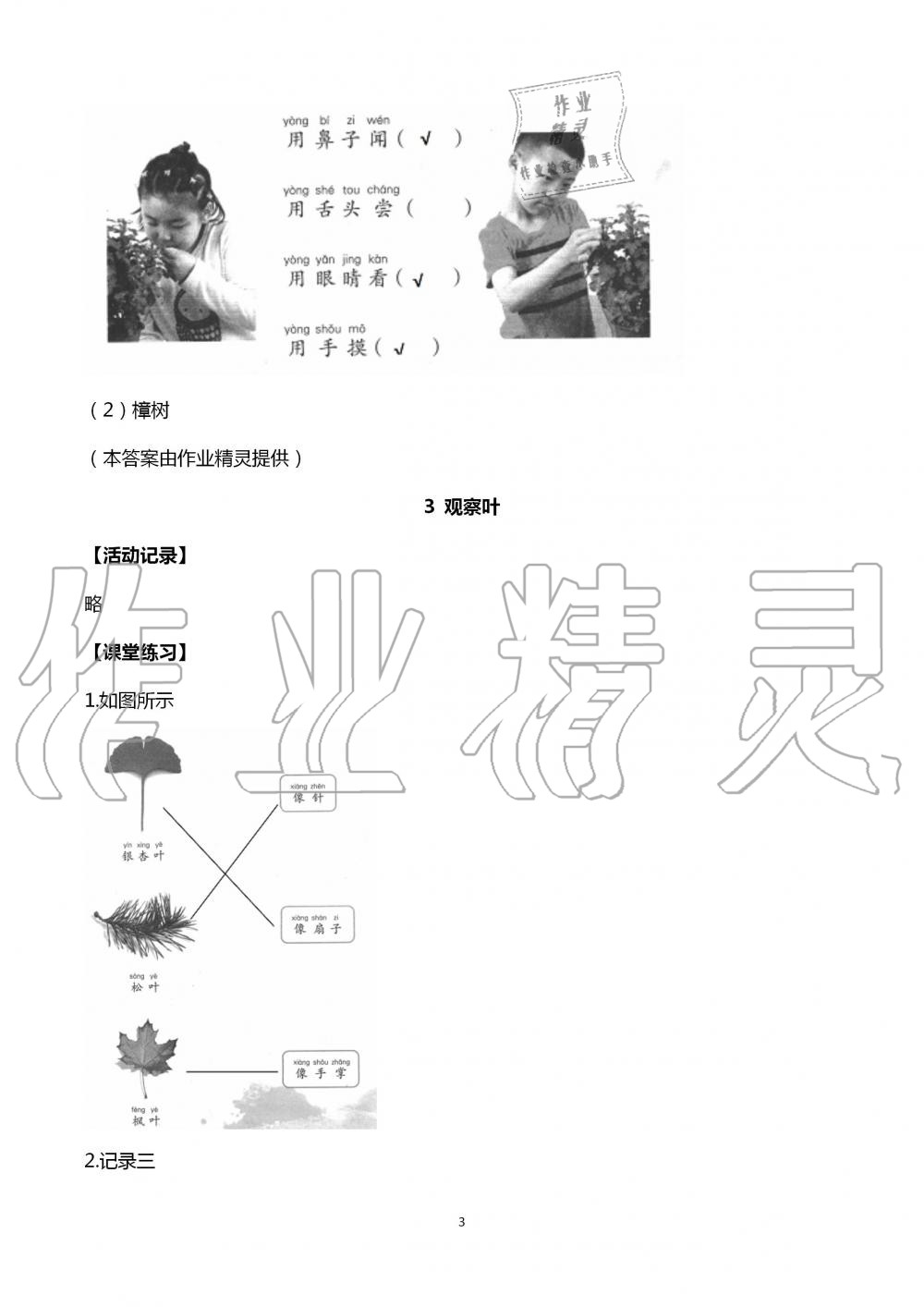 2020年科學(xué)課堂作業(yè)本一年級上冊教科版浙江教育出版社 第3頁