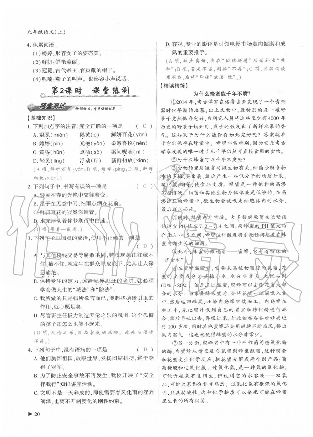 2020年优课堂给力A加九年级语文全一册人教版 参考答案第20页