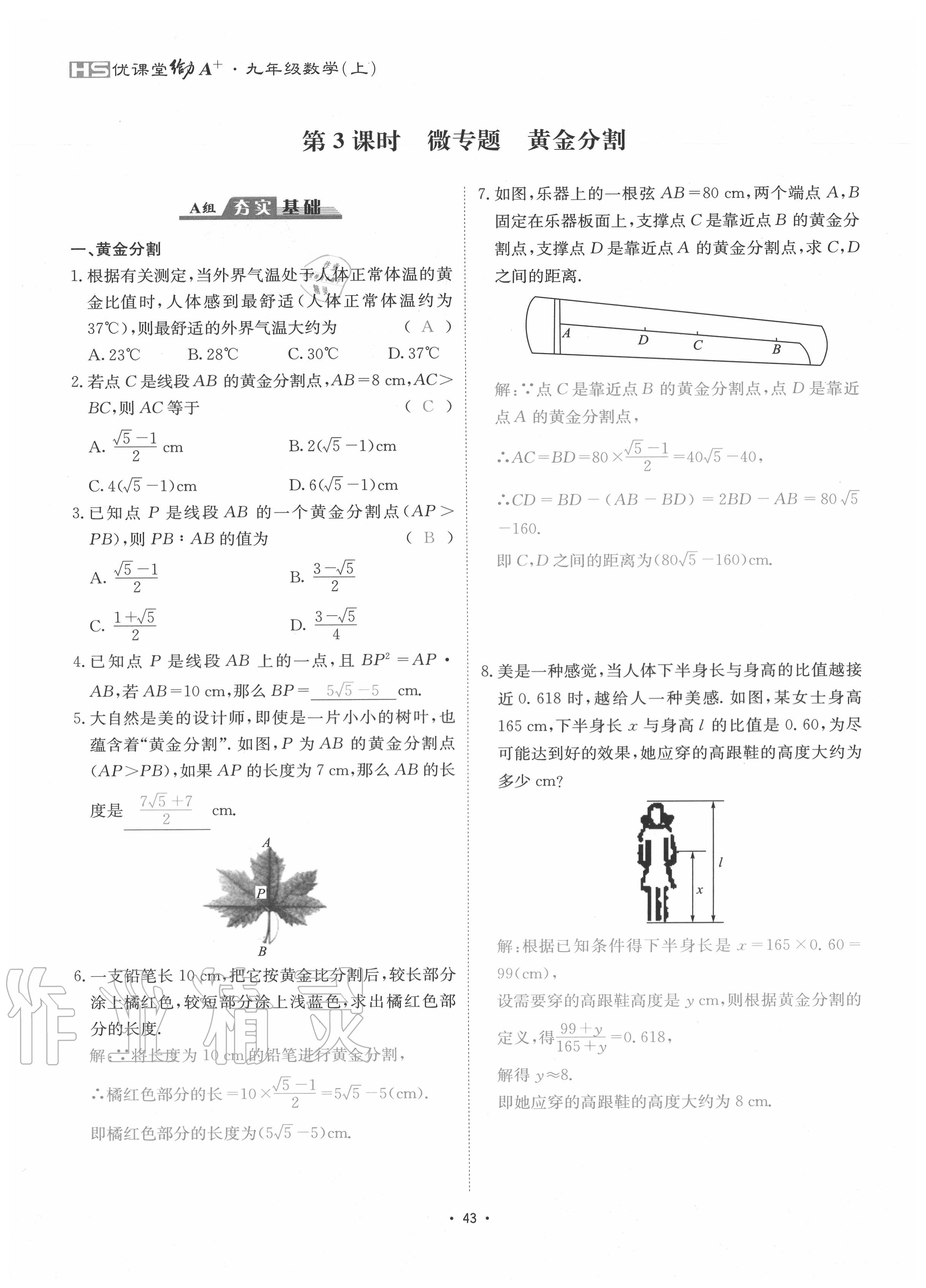 2020年優(yōu)課堂給力A加九年級(jí)數(shù)學(xué)全一冊(cè)華師大版 參考答案第46頁