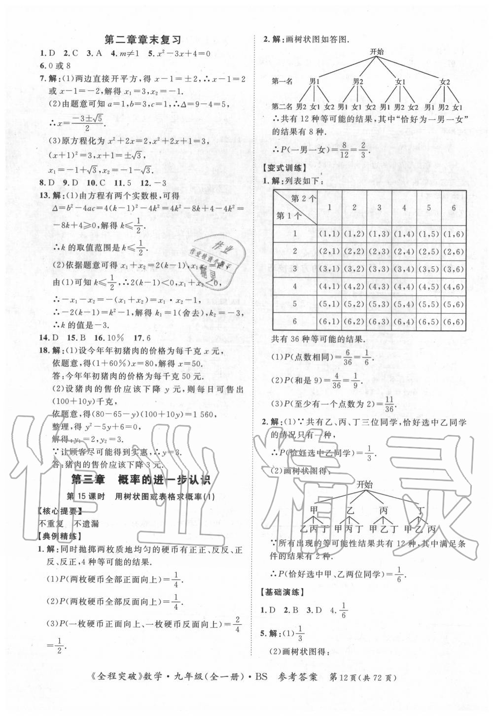 2020年全程突破九年級數(shù)學(xué)全一冊北師大版 第12頁