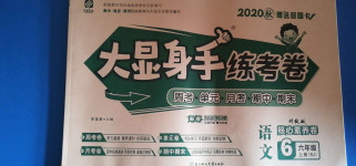 2020年大顯身手練考卷六年級語文上冊人教版