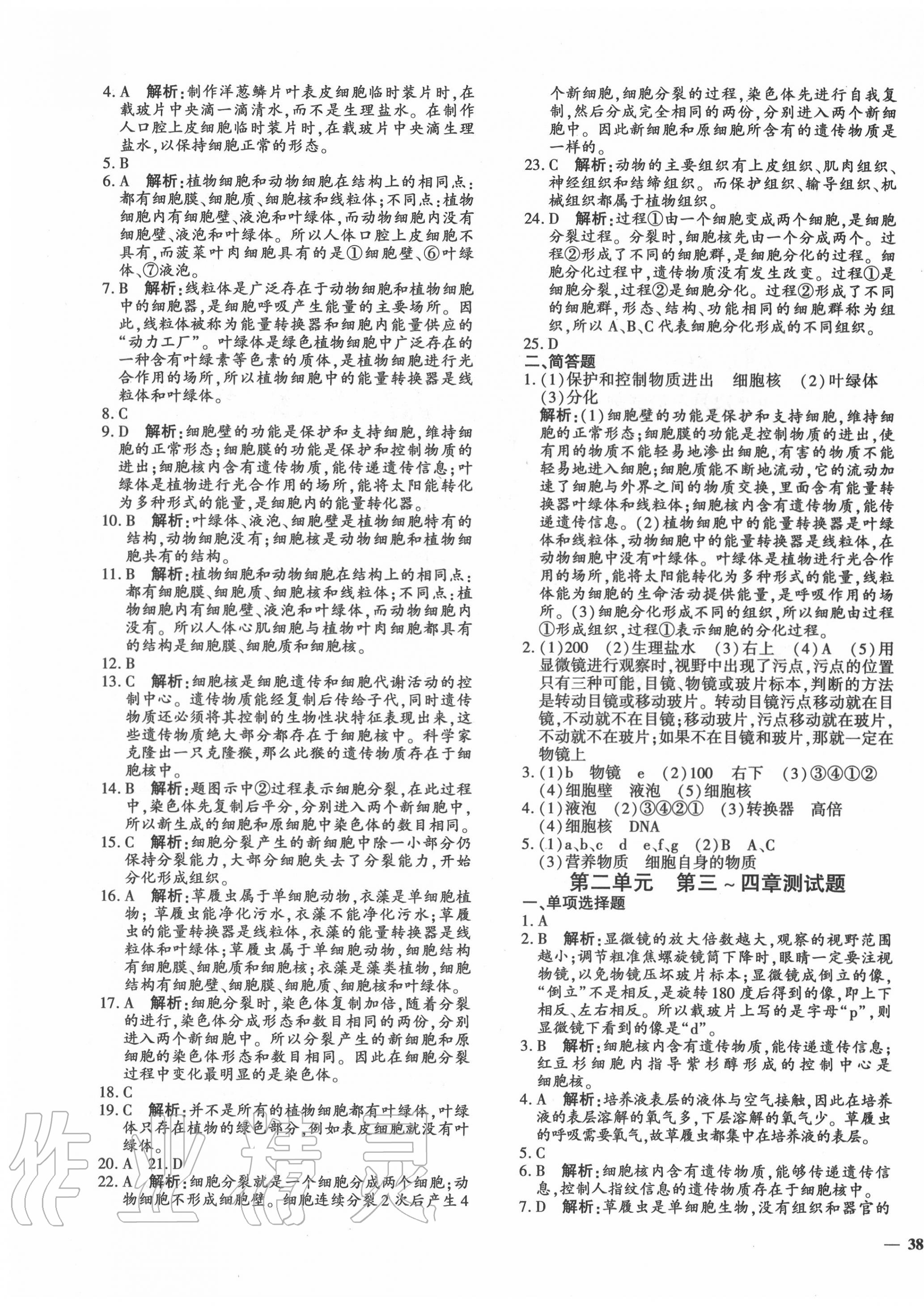 2020年黃岡360度定制密卷七年級(jí)生物上冊(cè)蘇教版 第3頁(yè)