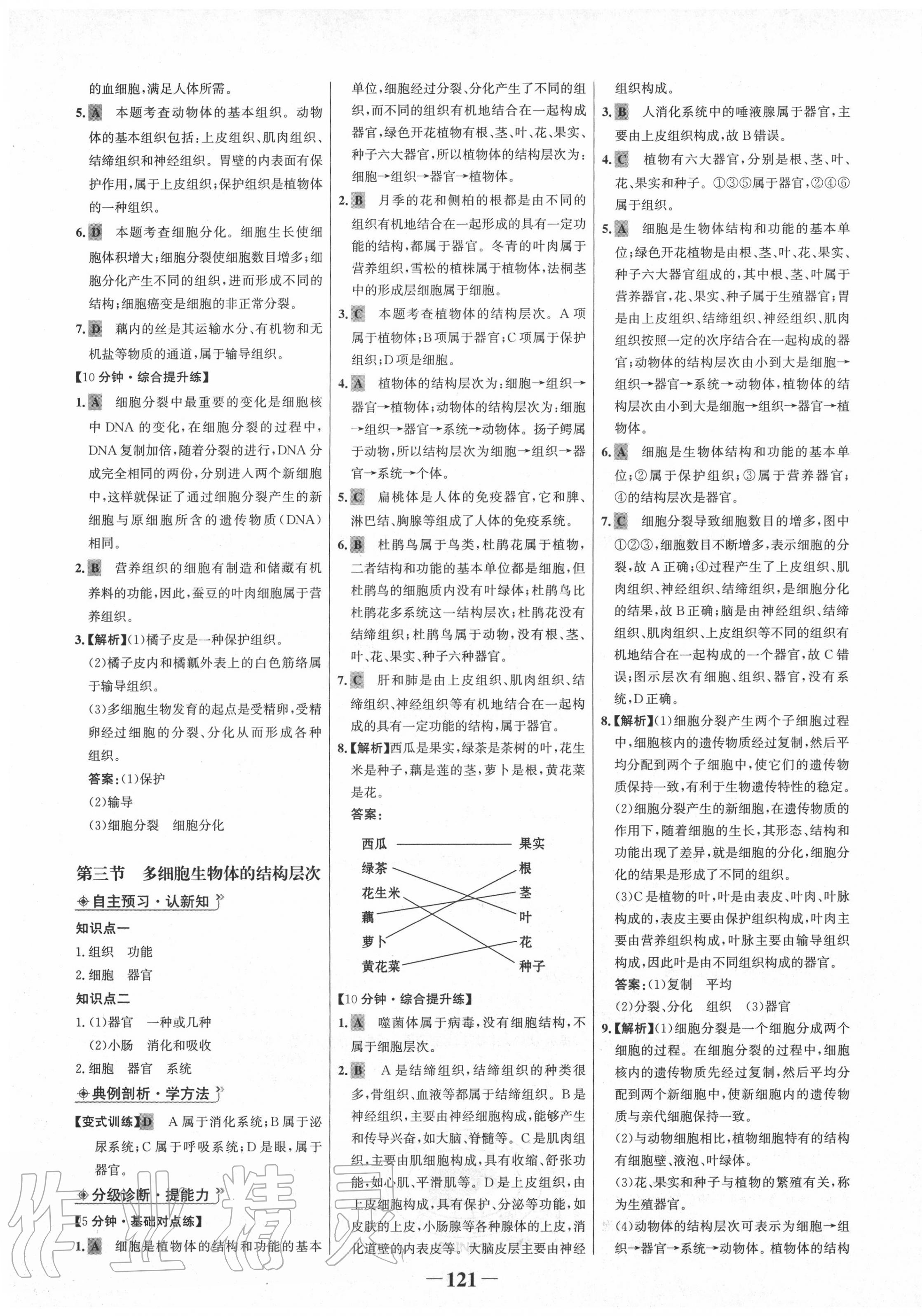 2020年世紀(jì)金榜金榜學(xué)案七年級(jí)生物上冊(cè)濟(jì)南版 第5頁